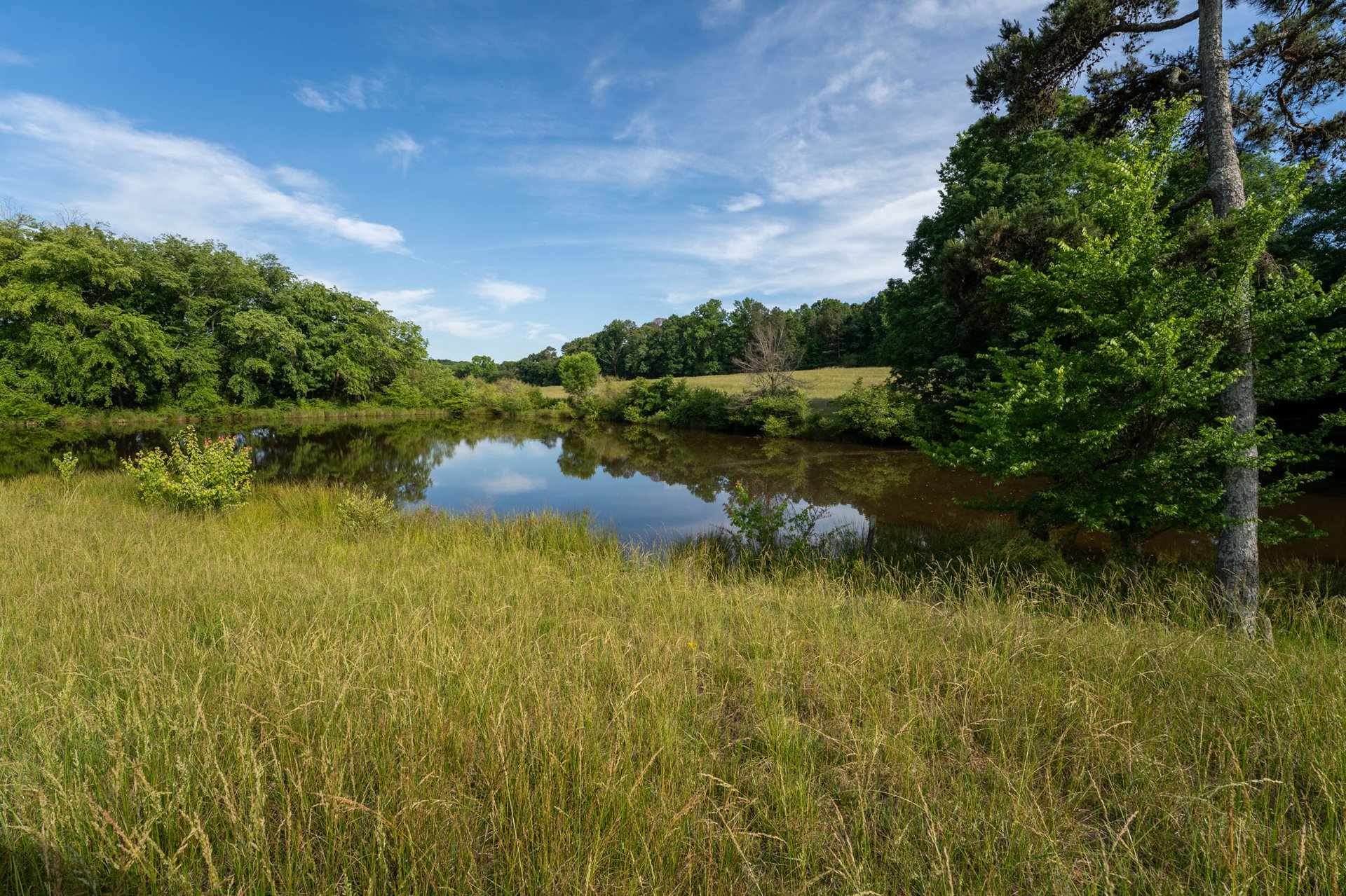 The Ranches at Sandy Creek