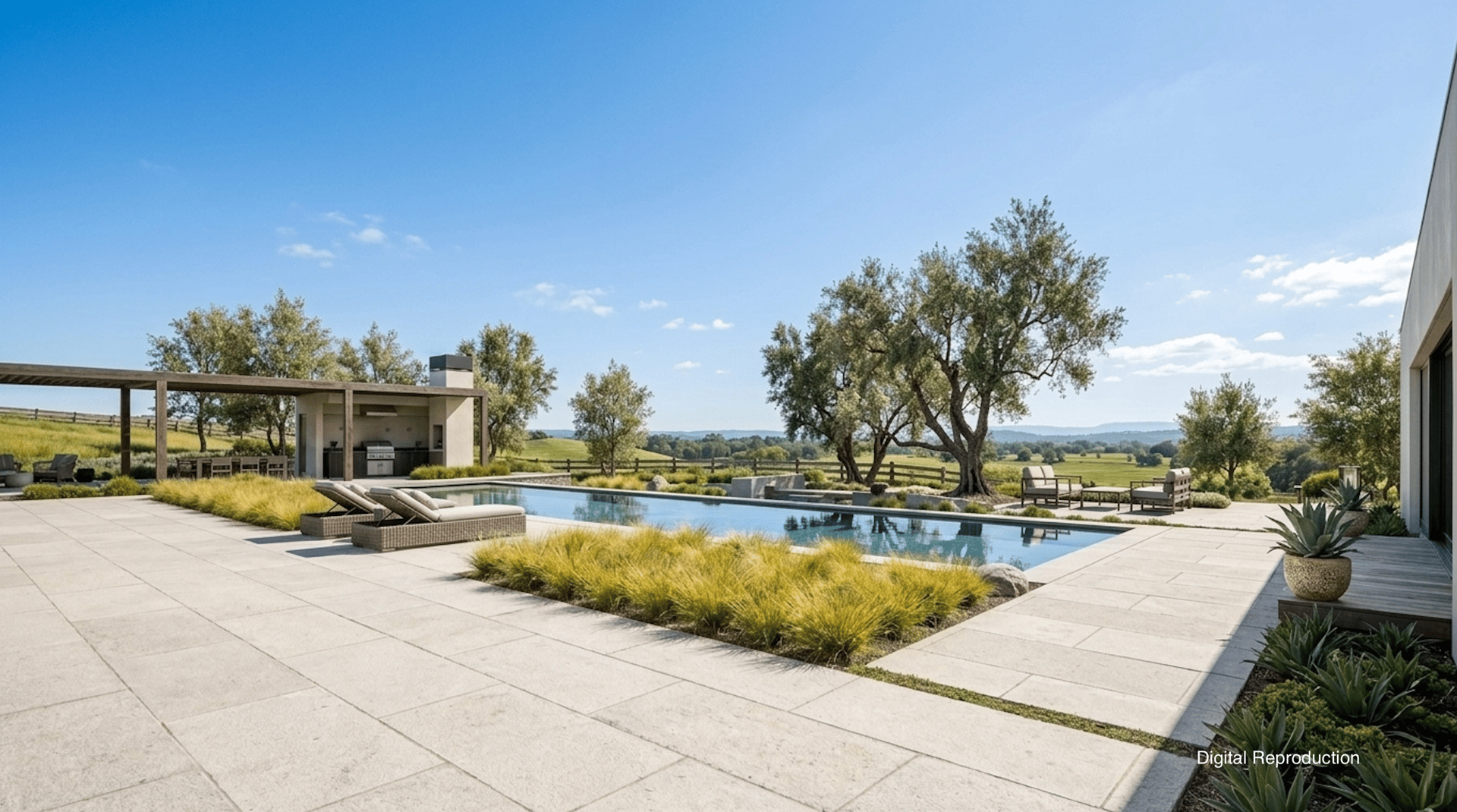 The Vineyard Estates | Chardonnay