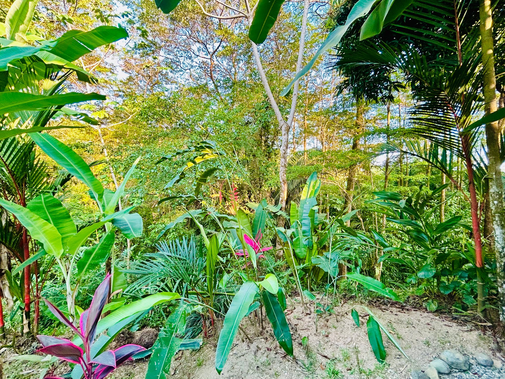 Tropical 2BR Home Near Playa Hermosa Beach | Successful Airbnb Rental in Uvita