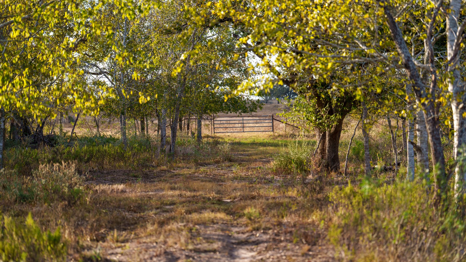 Gonzales County | 104+/- Acres