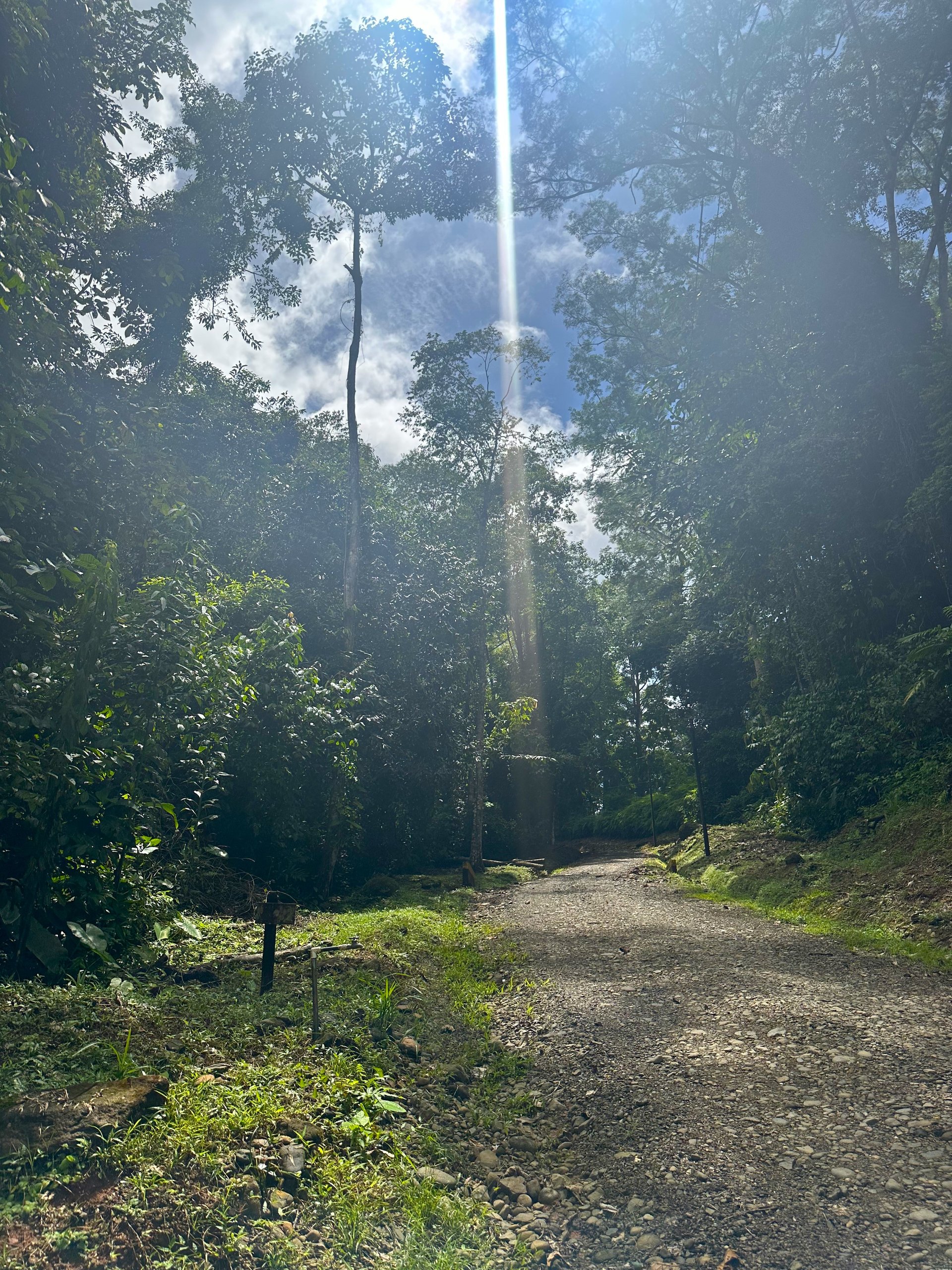 Mountain View Building Lot in Prestigious Gated Community With Private Waterfall & Two Building Sites
