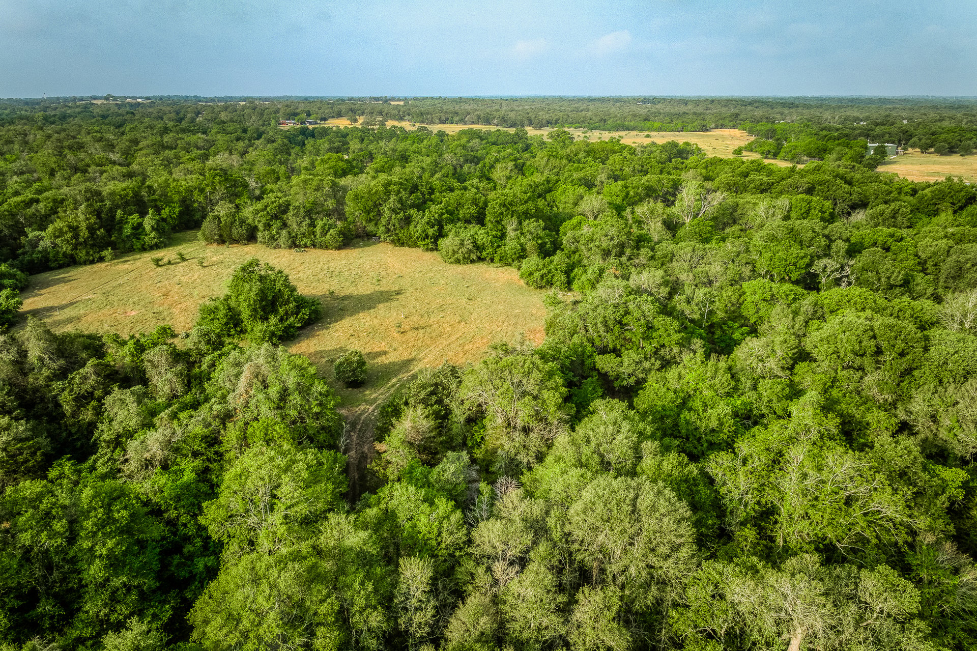 Revival Ranch TX