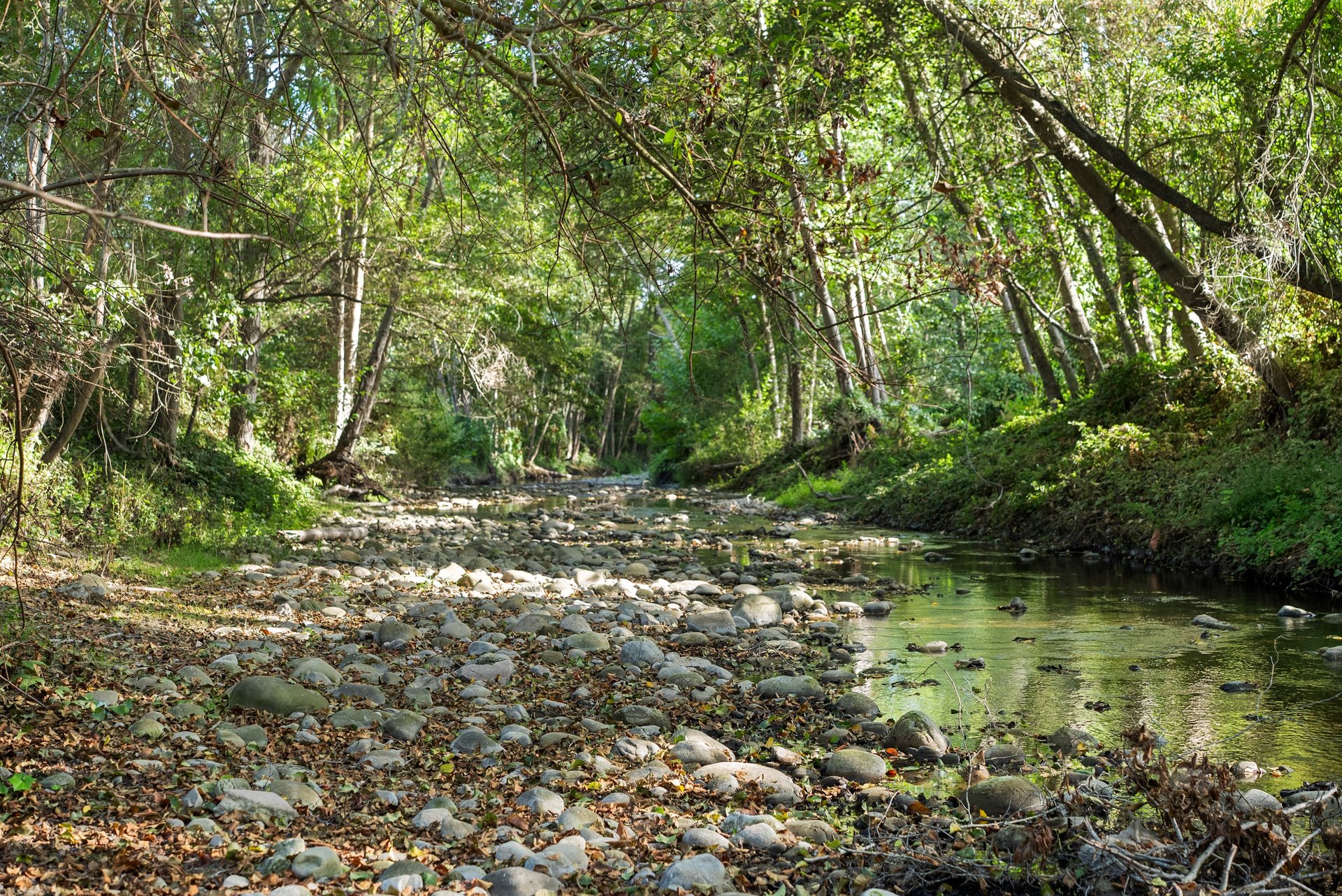 3999 Cherryvale Avenue | Soquel, California