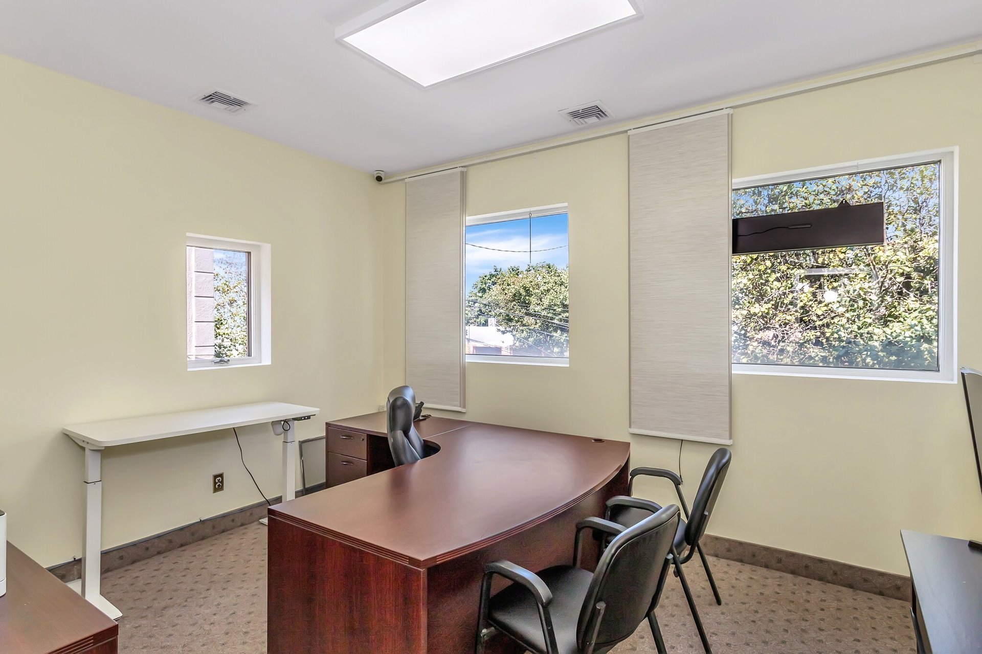 219 Mineola Blvd