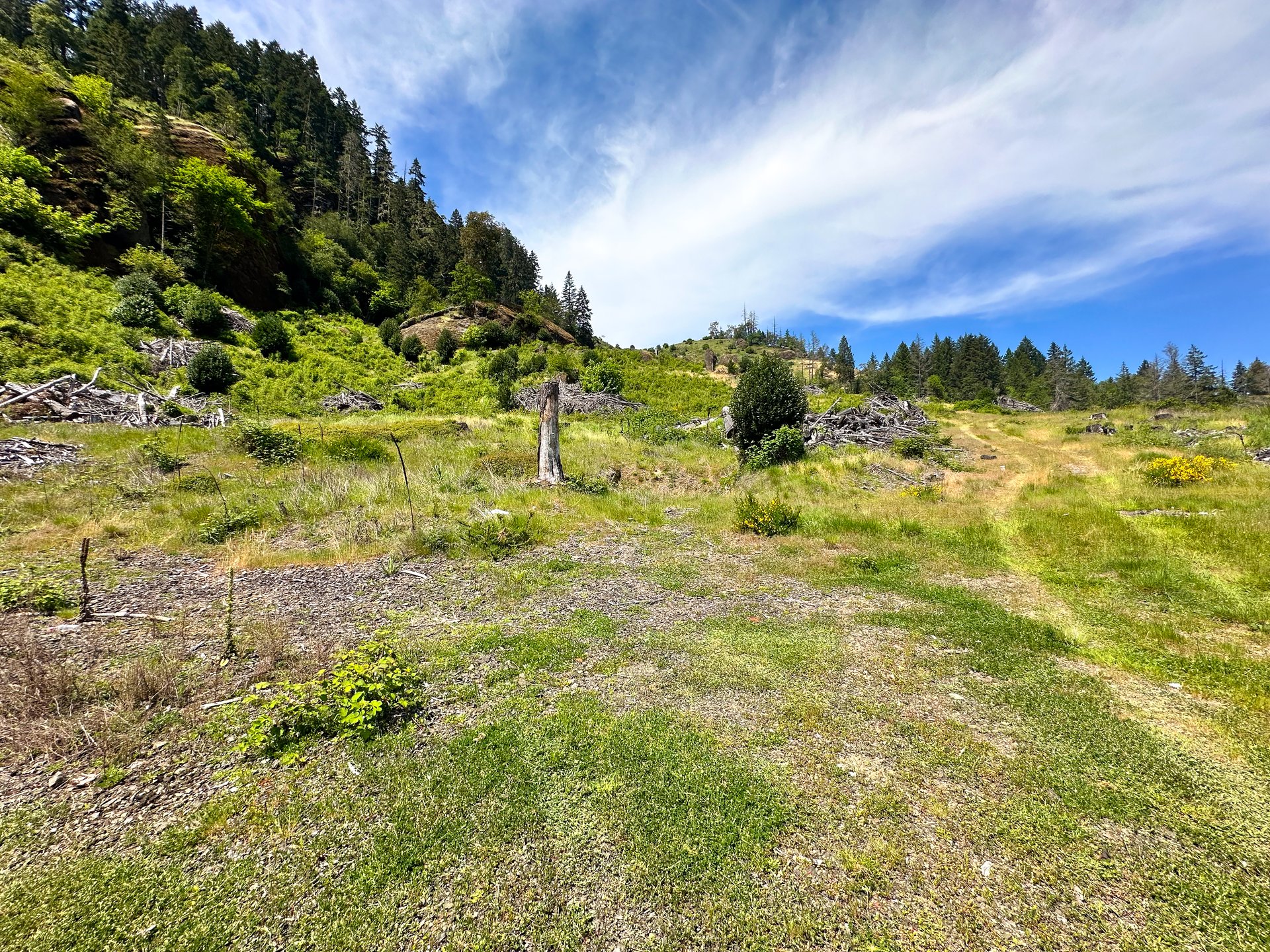 STRICKLAND CANYON HOMESITE