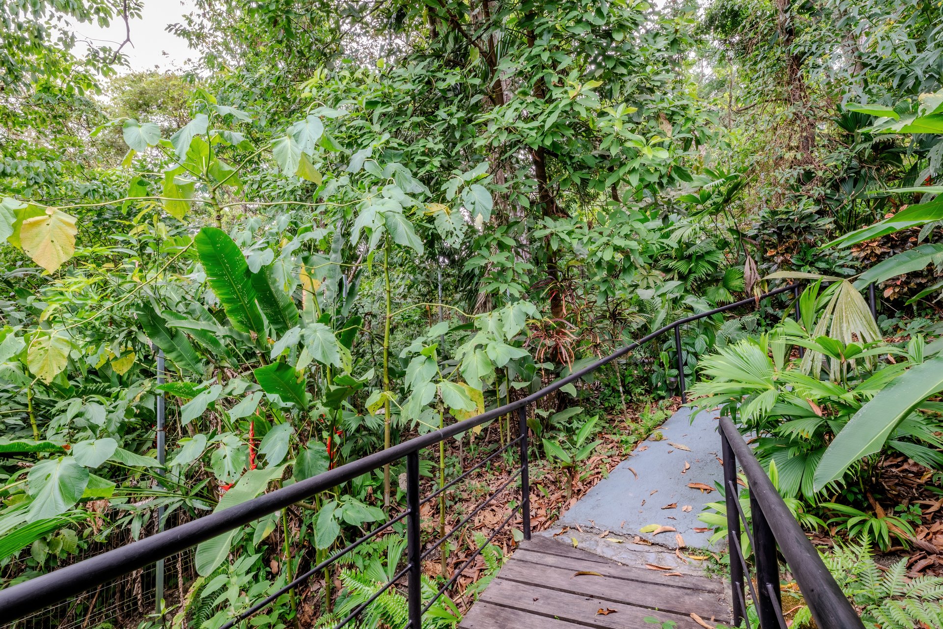 Villas In Sueño – A Rare Gem in the Heart of Manuel Antonio