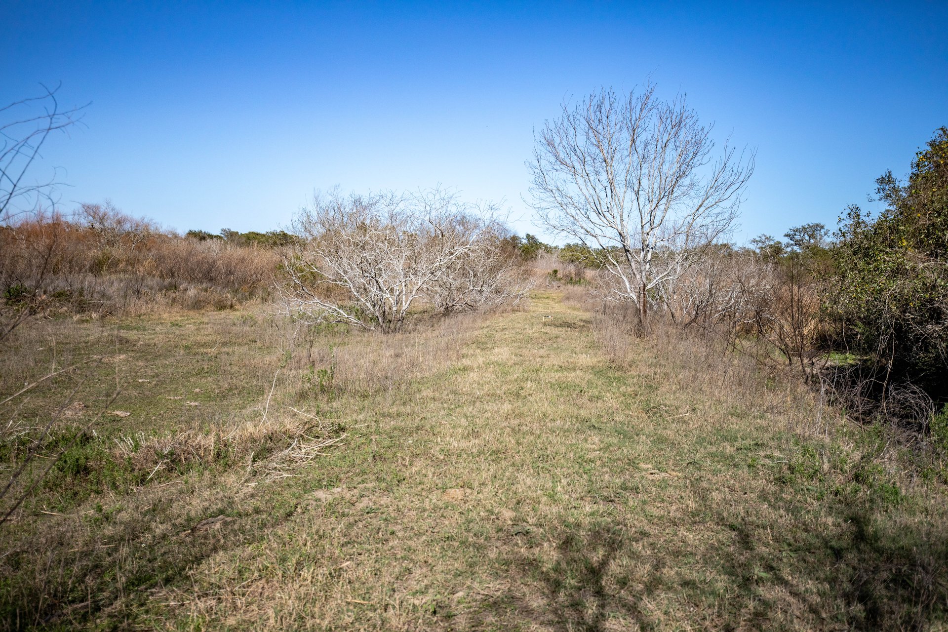 Lamar Peninsula Development Tract |  51.81± Acres | Aransas County