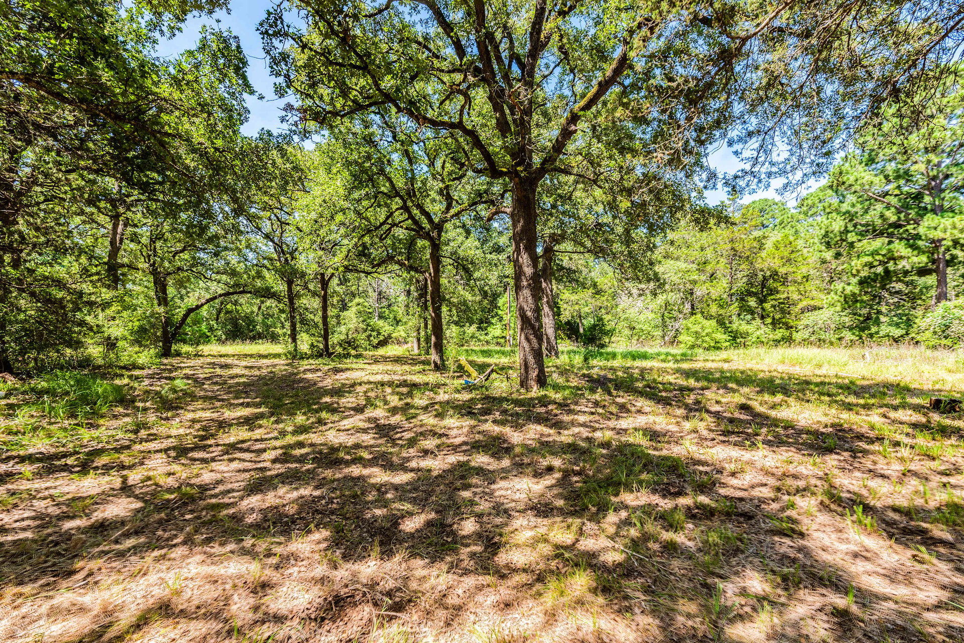 394 Kellar RD