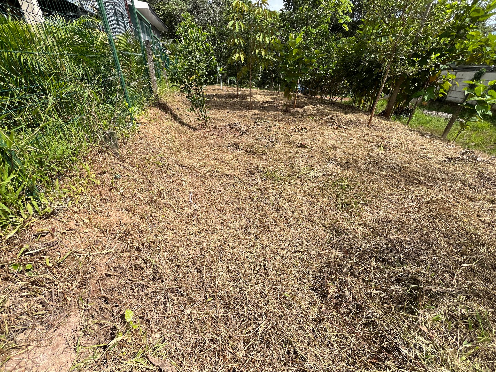 Affordable Uvita Lot UNDER $200-per-sqm - Perfect for Your Dream Home or Airbnb Investment