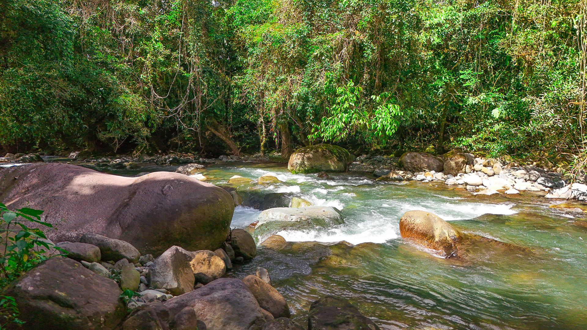 Costa Rica Mountain Retreat – 1.8 ha with Luxury Cabin, Private Lake & Riverfront