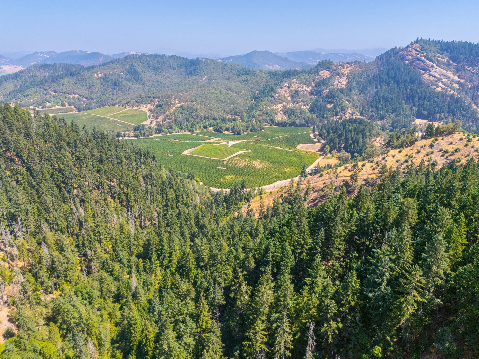 STRICKLAND BOULDER FOREST