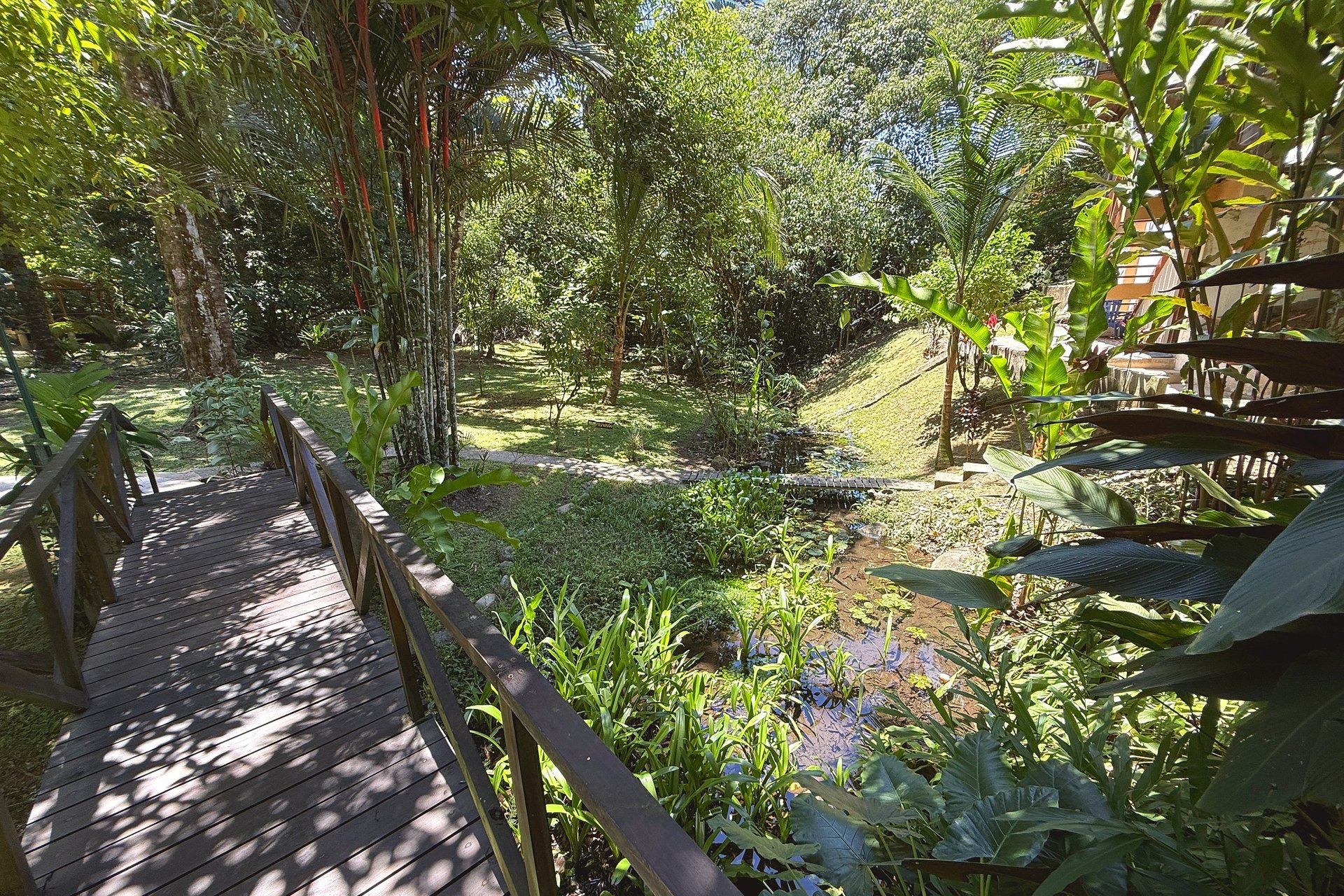 Gorgeous Jungle Hotel with 11 Beds including Owner/Manager Unit, Sparkling Pool & River Setting in Ojochal Costa Rica