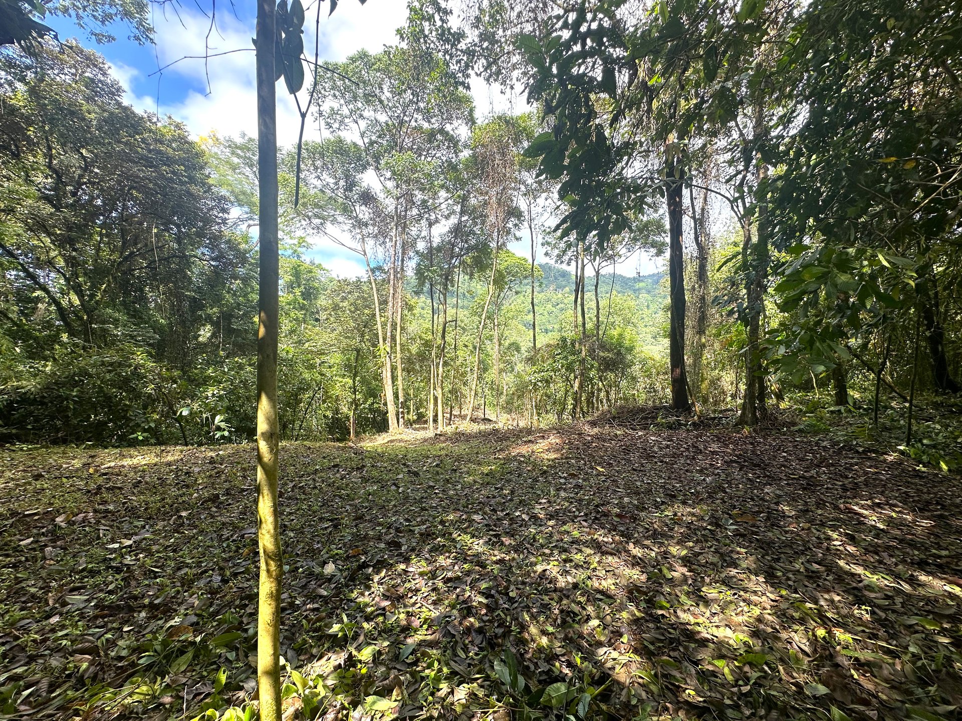 Mountain View Building Lot in Prestigious Gated Community With Private Waterfall & Two Building Sites