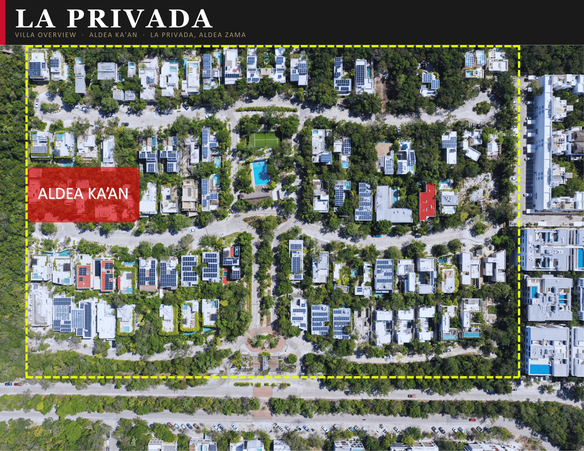 Casa David | 3BR Jungle Villa w/ Rooftop Pool