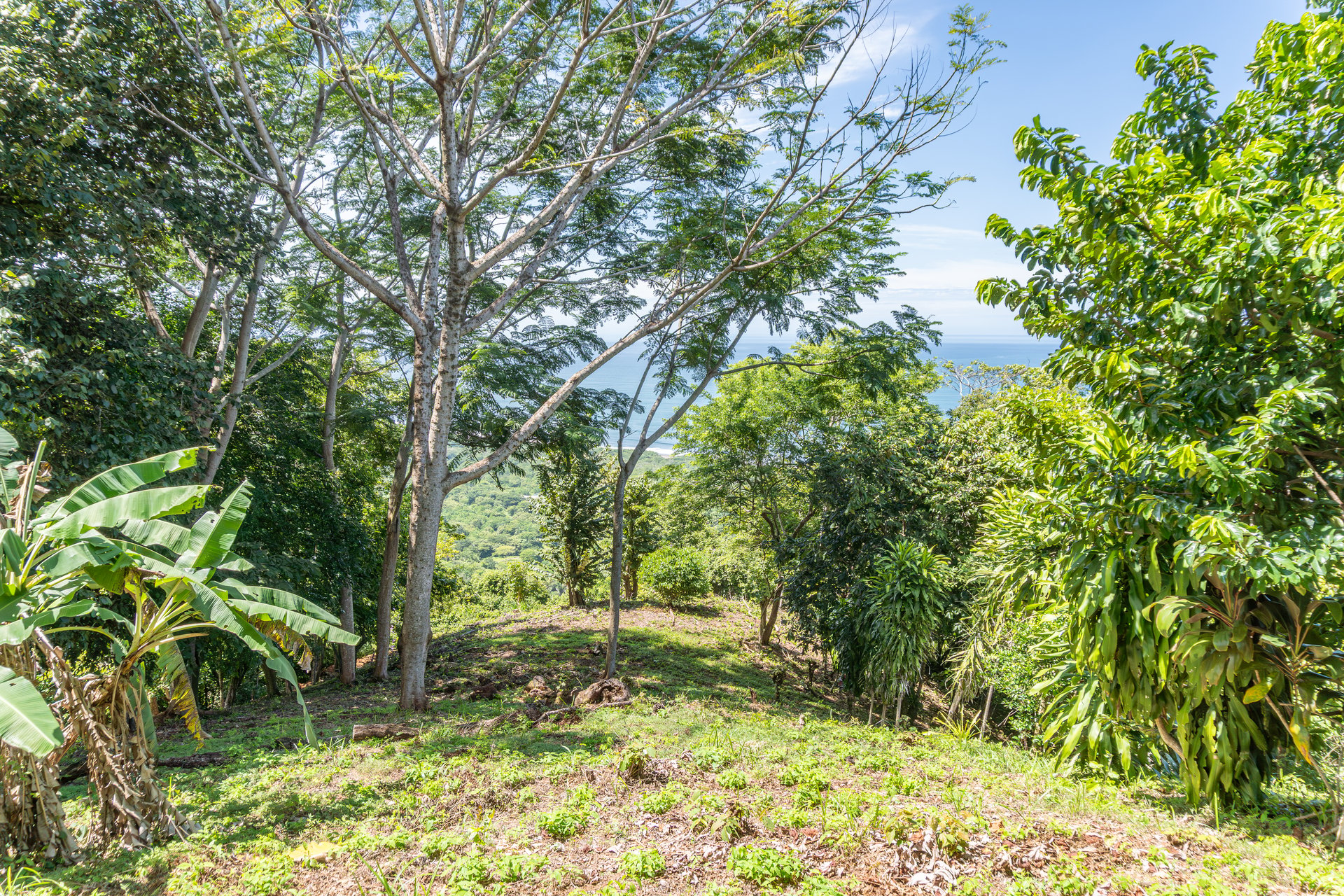 La Reserva Camaronal Lot 34 | Playa Camaronal, Zapotal, Nandayure, Guanacaste