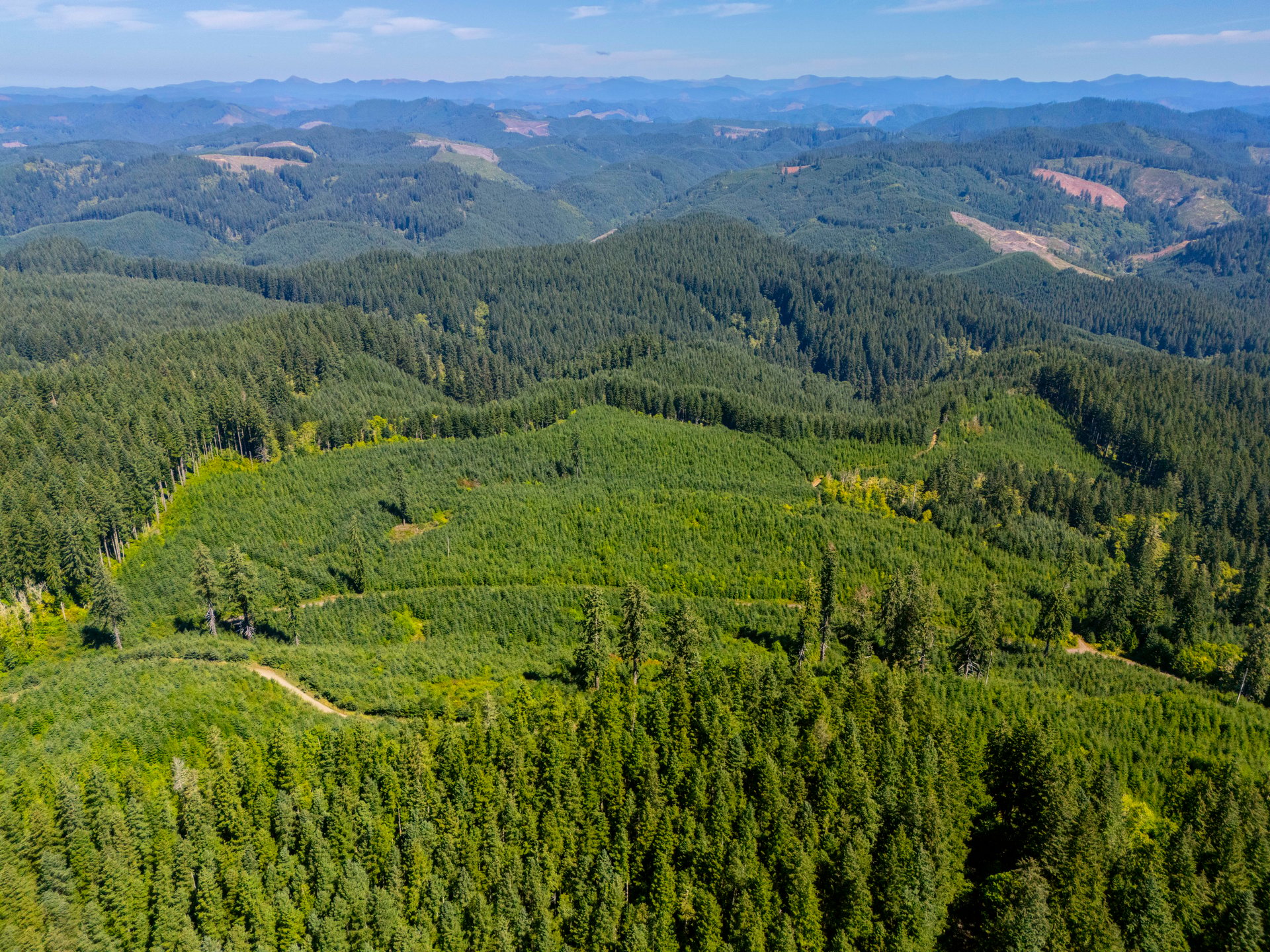 LINCOLN-HILLTOP TREEFARM Sealed Bid Offering 