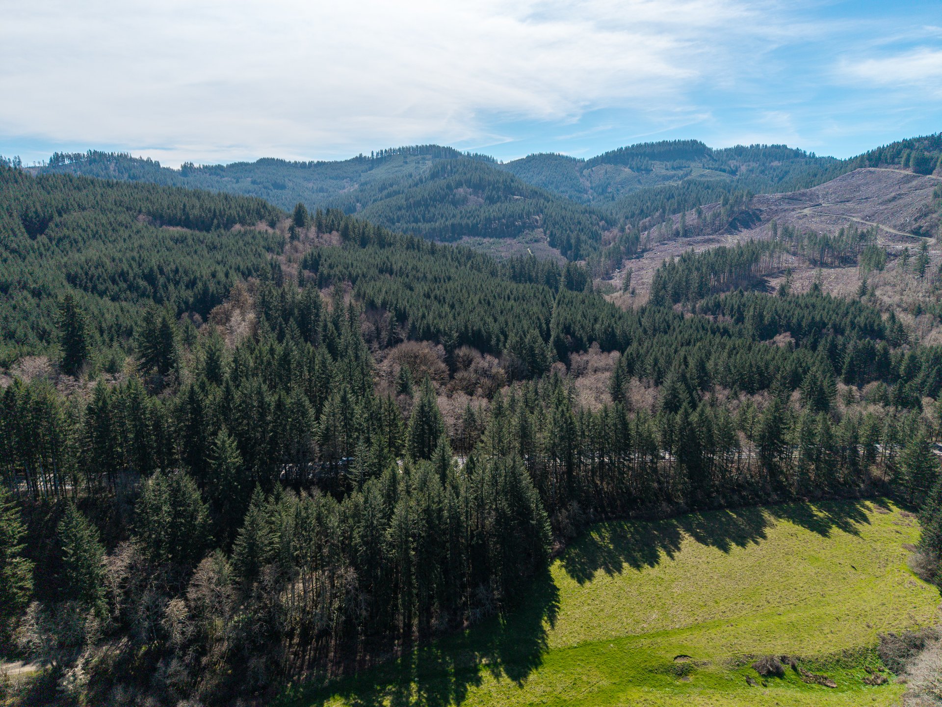 LITTLE ELK TREEFARM