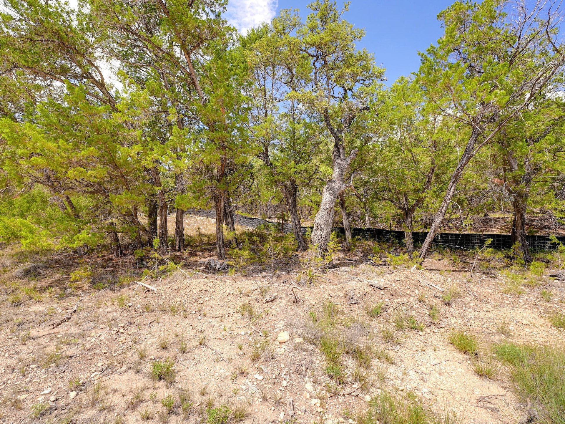 214 Gaucho Way