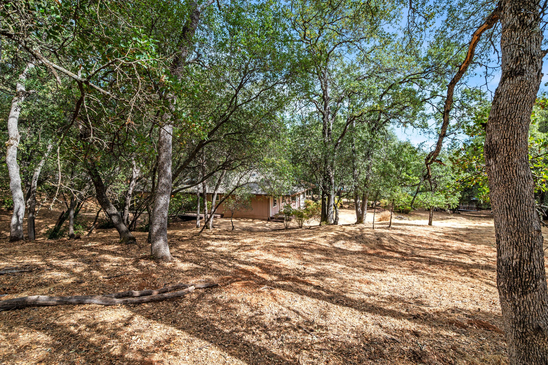 House partly screened by mature trees on a spacious, leaf-covered lot.