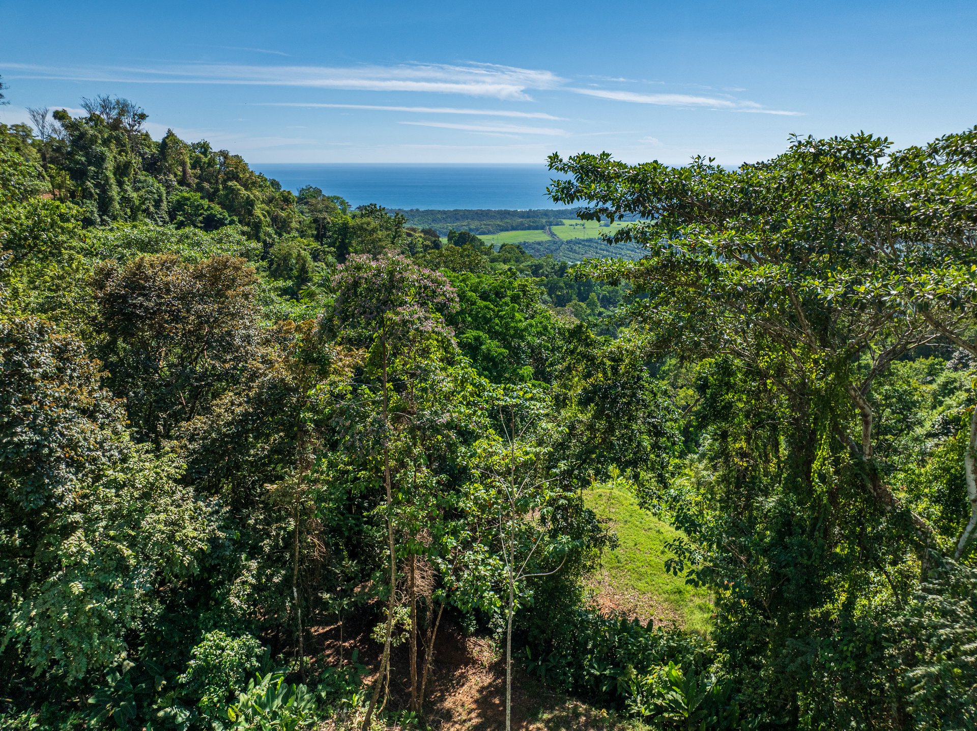 A Unique Ocean View Estate Designed for Visionary Investors