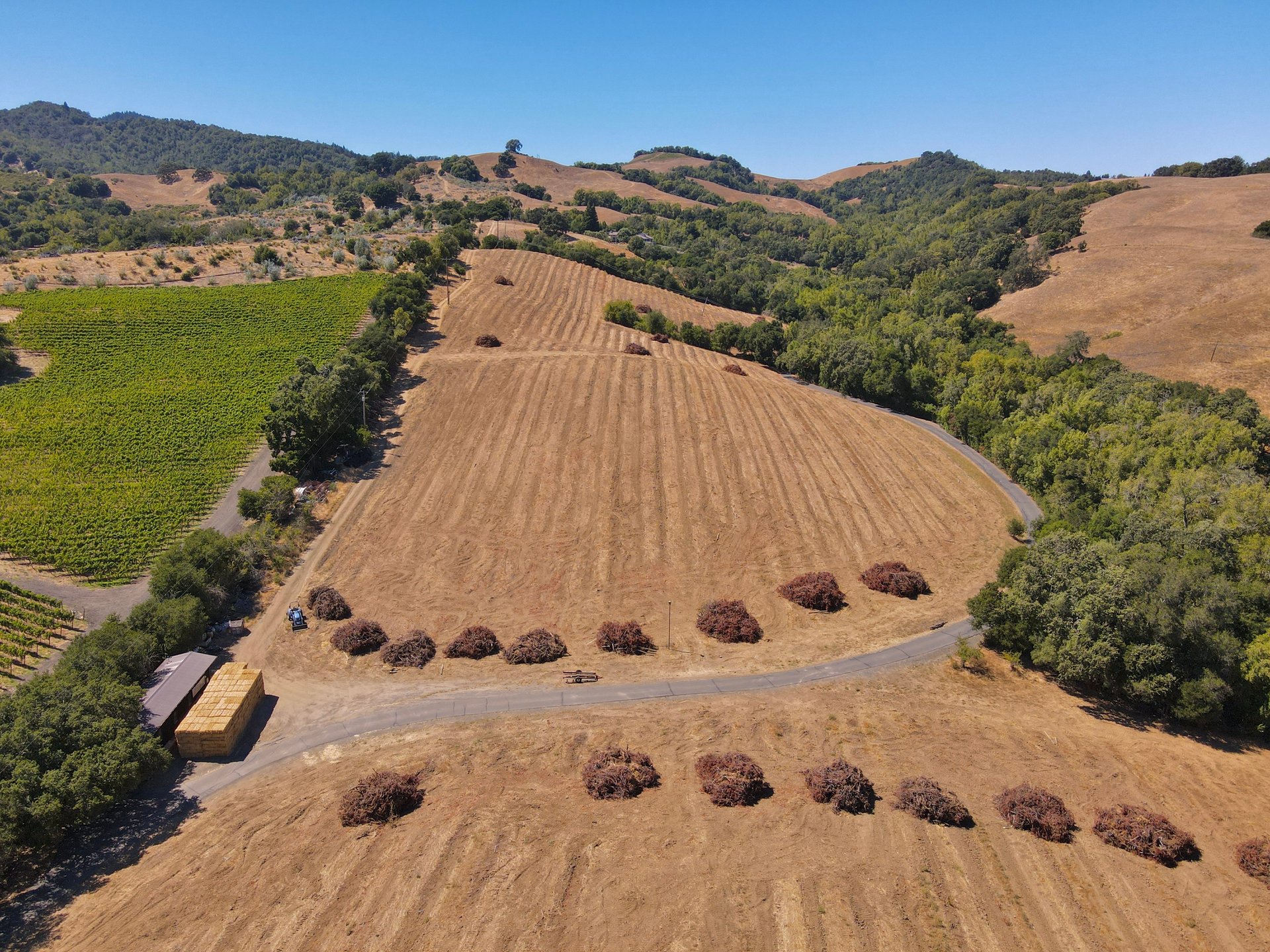 Tambor Vineyard Estate