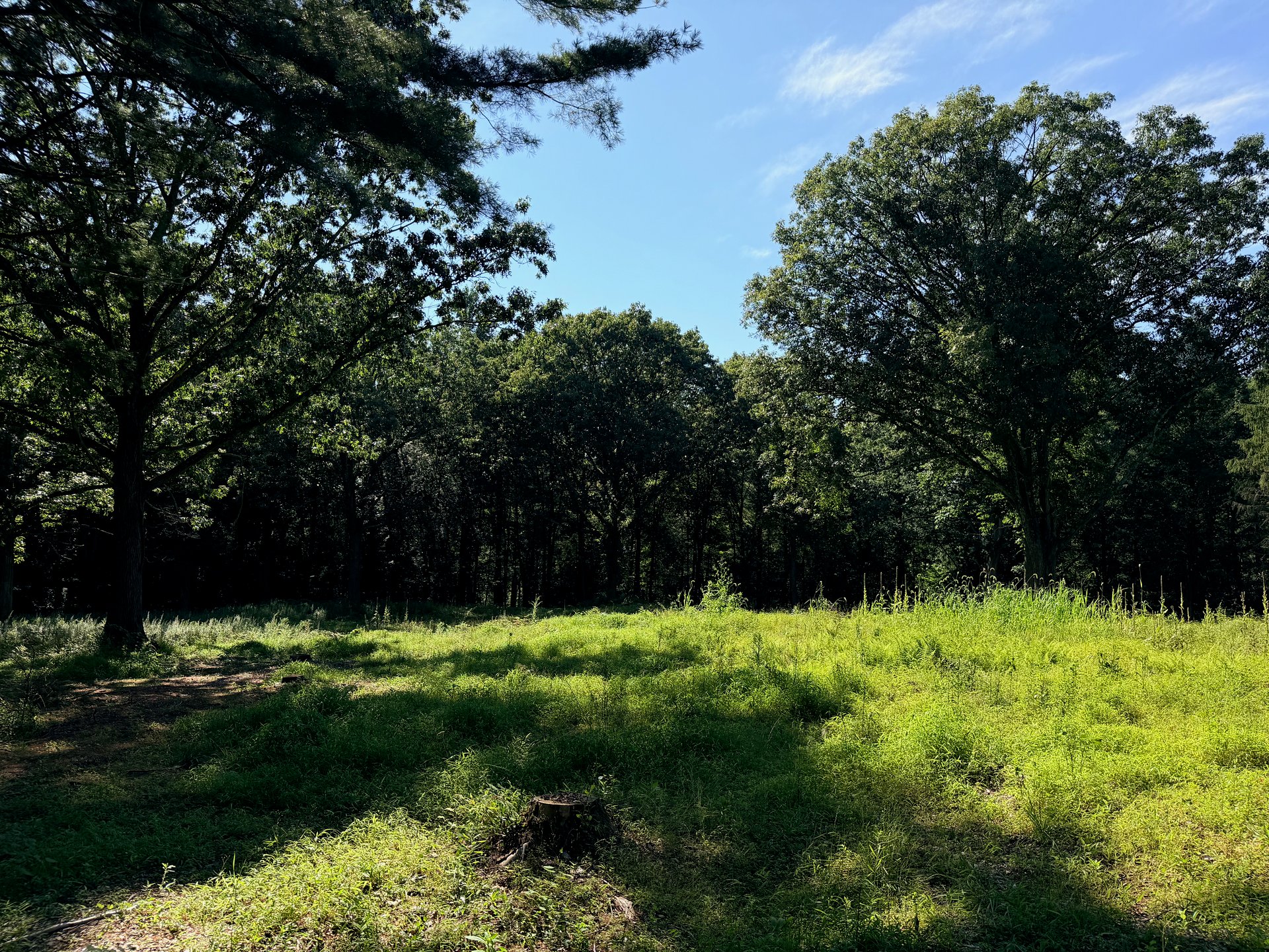 340 Haines Road
