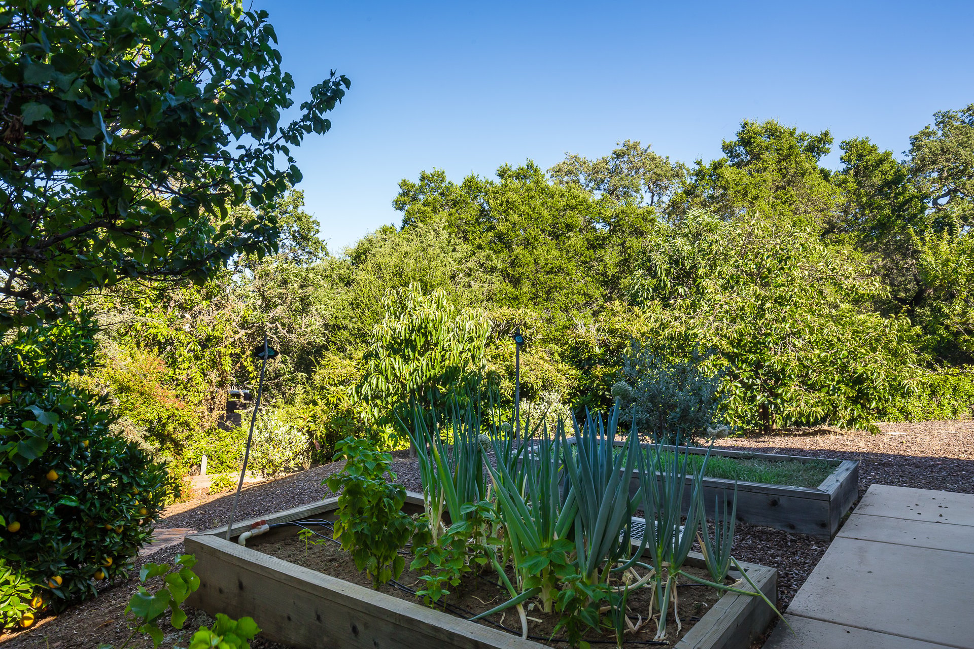 Flats:Los Altos Hills/Palo Alto Hills