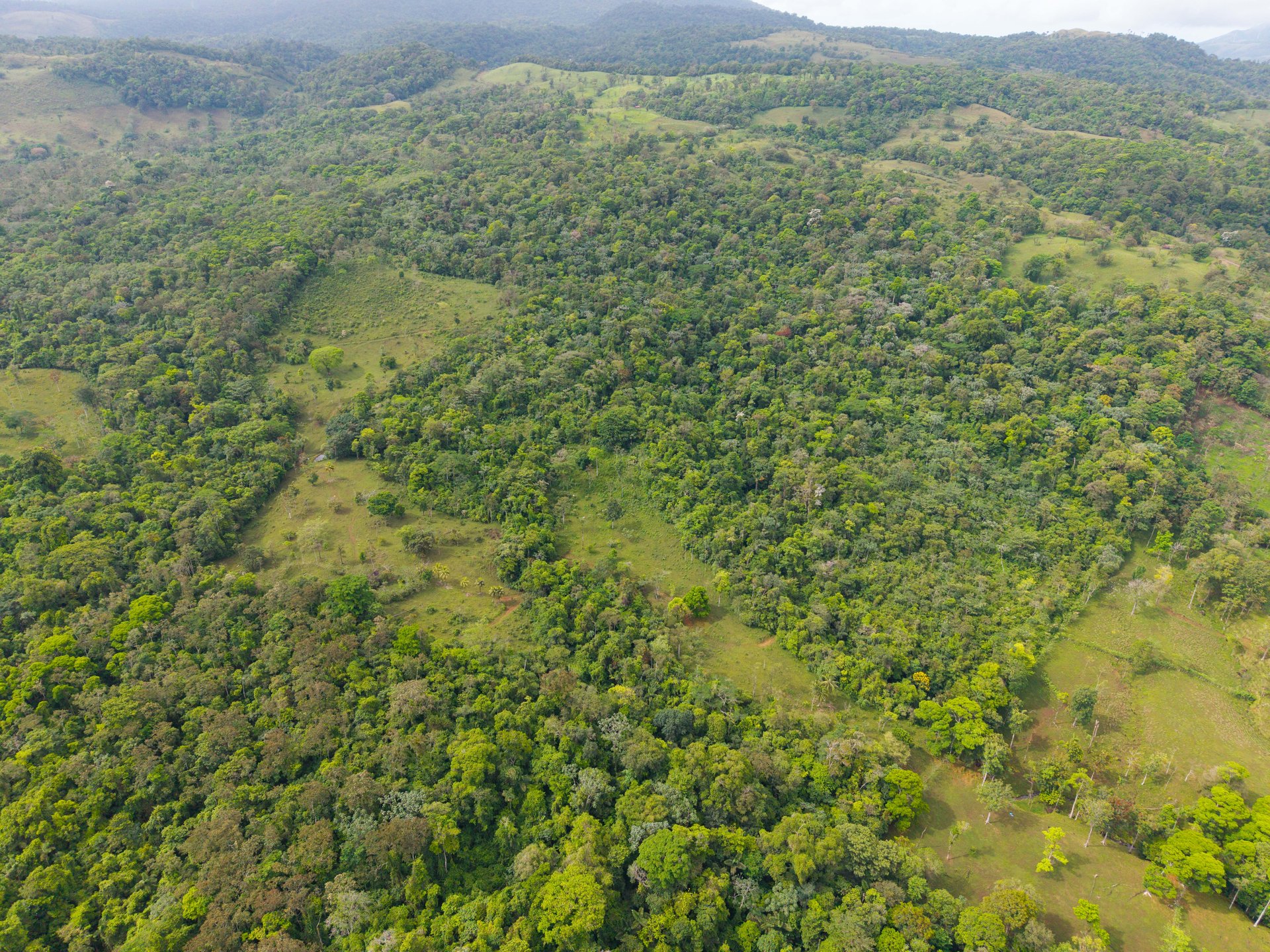 Finca Las Zompopas-Río Celeste | 113-Acre Biodiverse Property in Bijagua, Ideal for Eco-Tourism, Private Retreats, or Sustainable Development