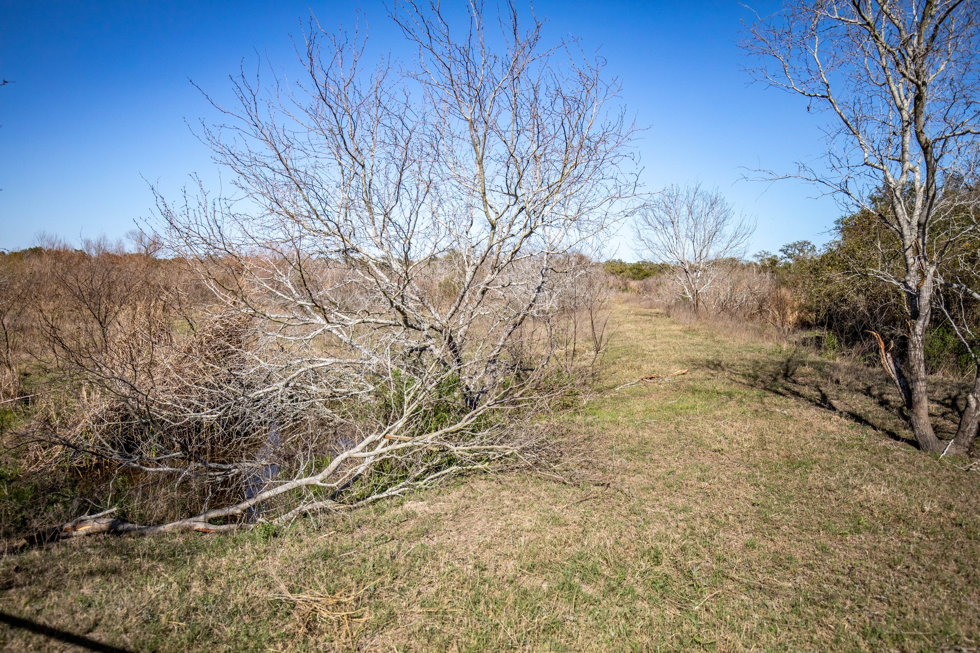 Lamar Peninsula Development Tract |  51.81± Acres | Aransas County