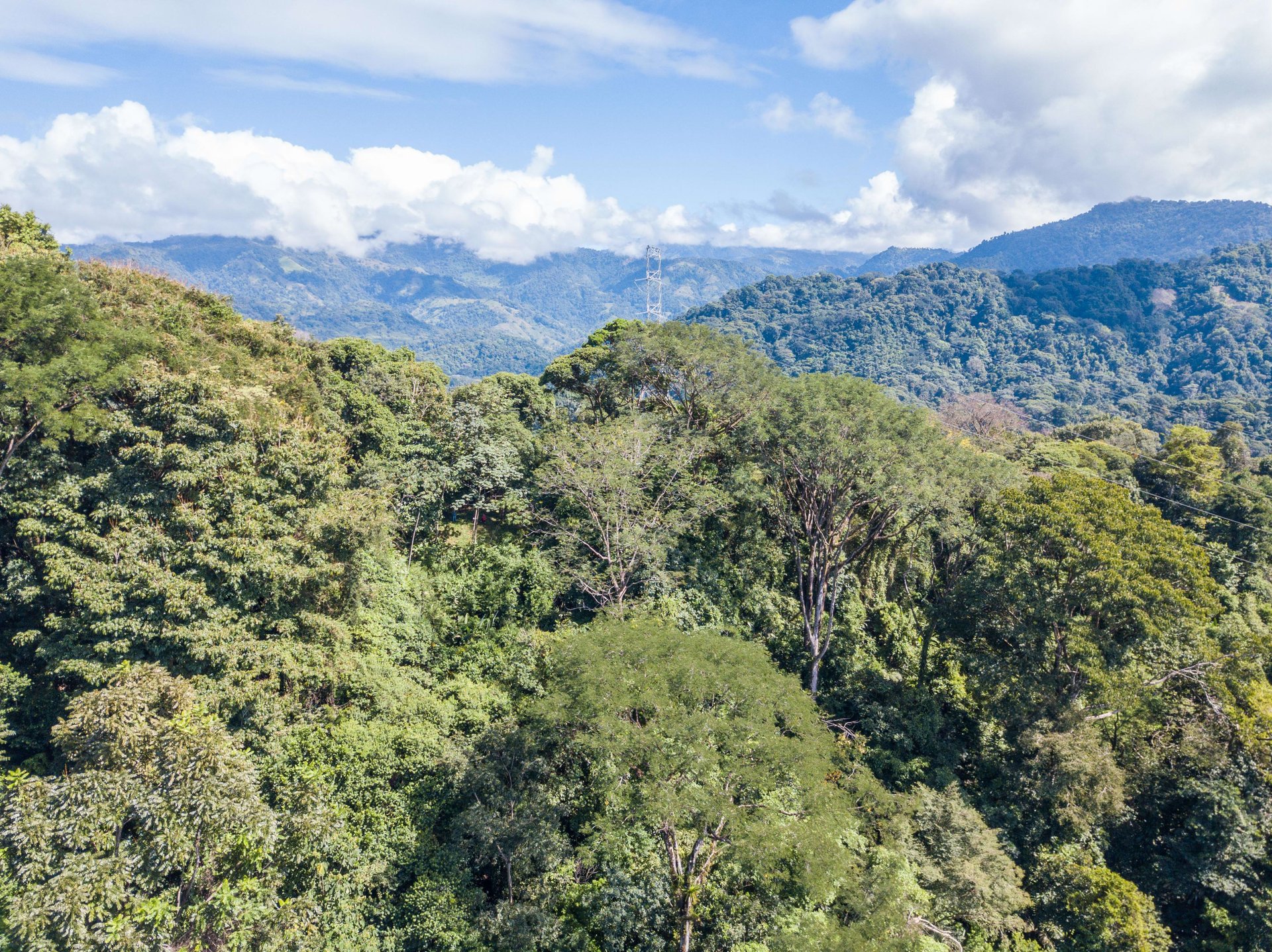 Mountain land with ocean view of Manuel Antonio/Quepos Quepos Puntarenas