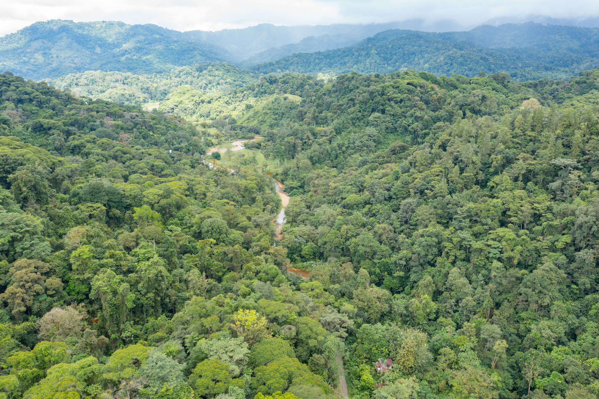 Mountain land with ocean view of Manuel Antonio/Quepos Quepos Puntarenas