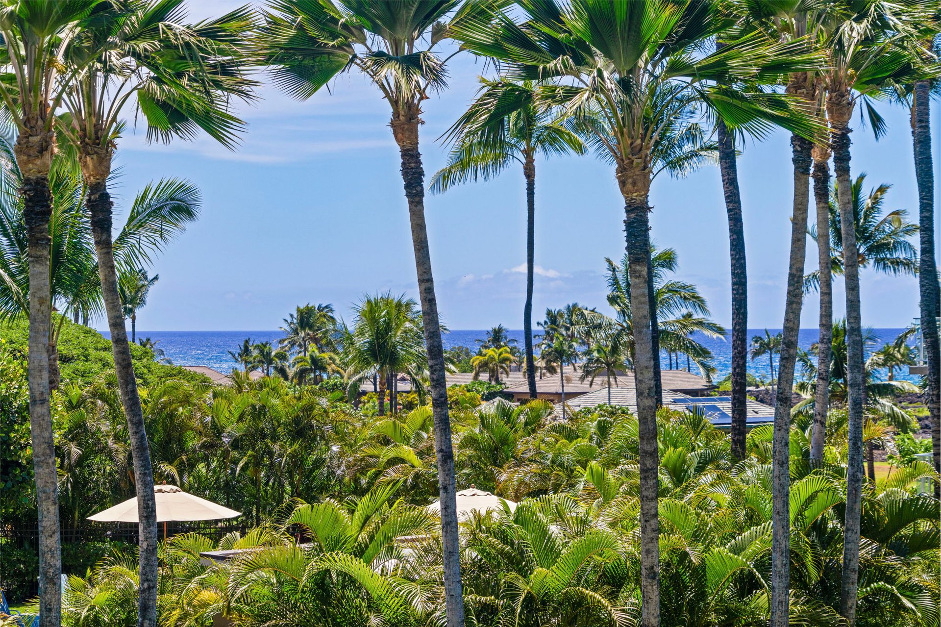 Vista Waikoloa C206