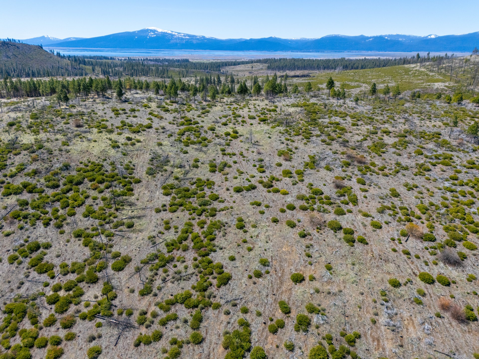 Klamath Basin