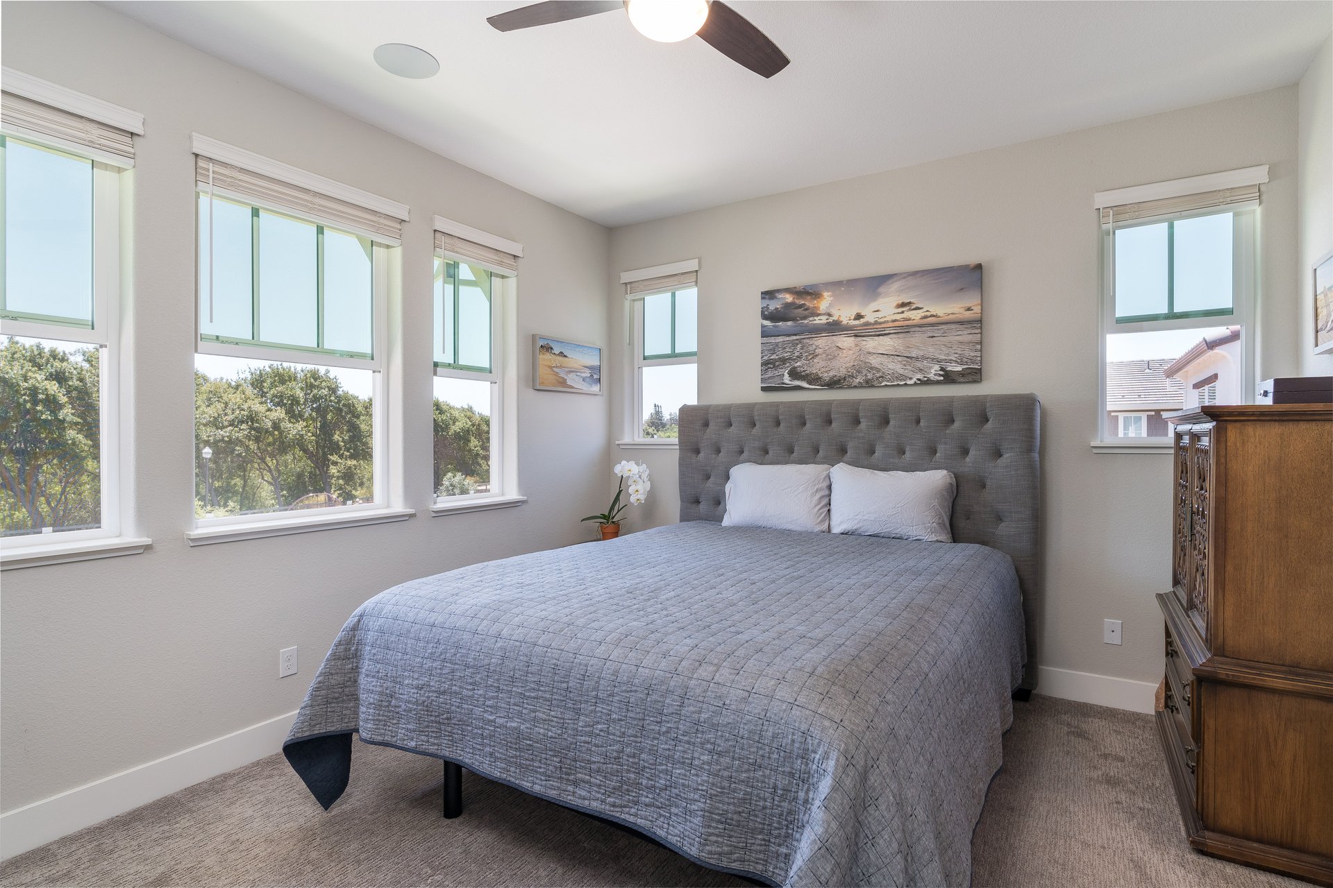 Immaculate Home in the Heart of East Petaluma- Represented Seller