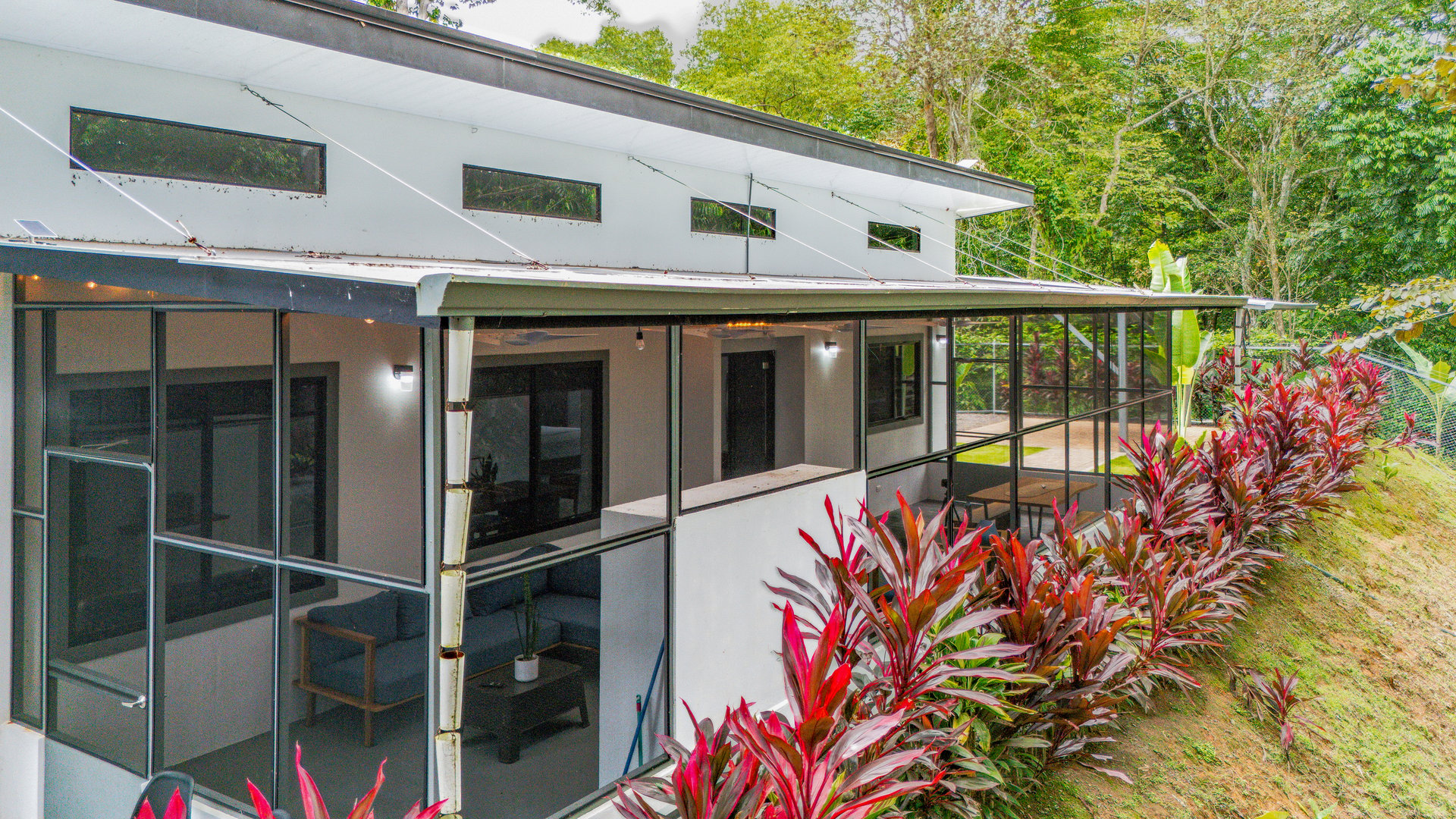 Cinco Ventanas Jungle Life Redefined