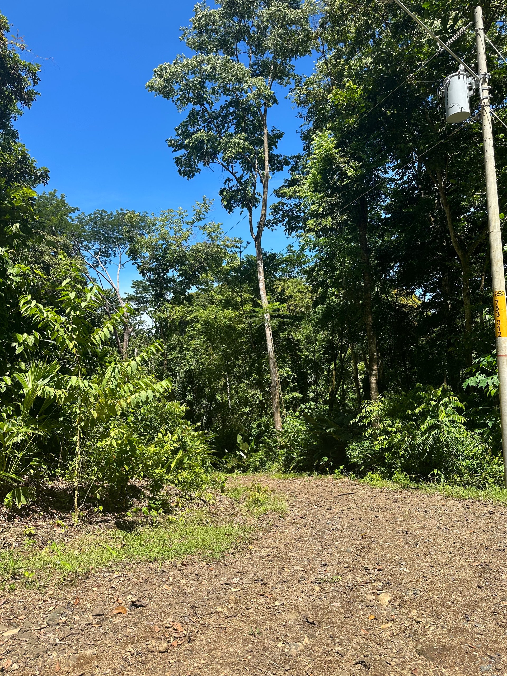 Ocean View Lot in Paradise Breezes, Hatillo - Ready to build