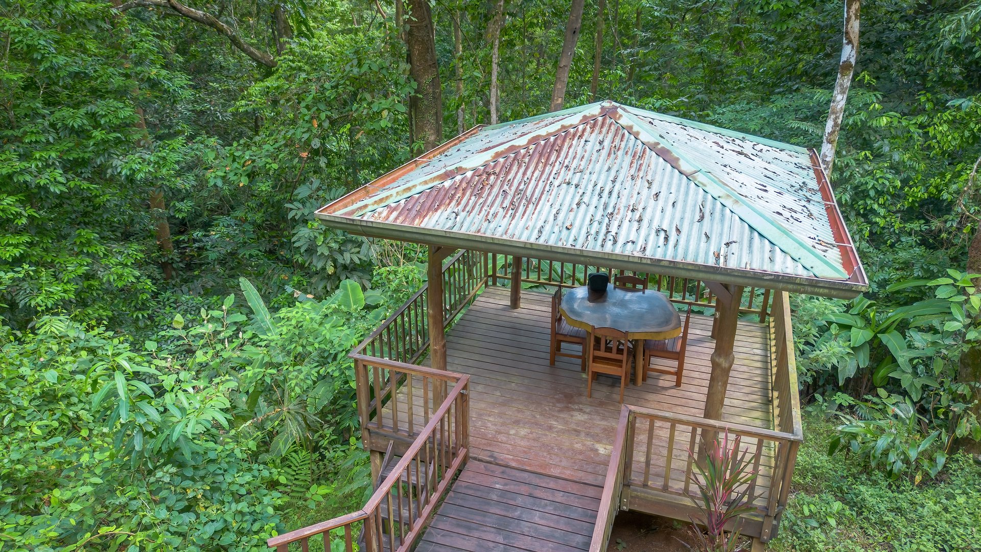 Private Jungle Oasis! 1 Bed, 1 Bath Hatillo Haven