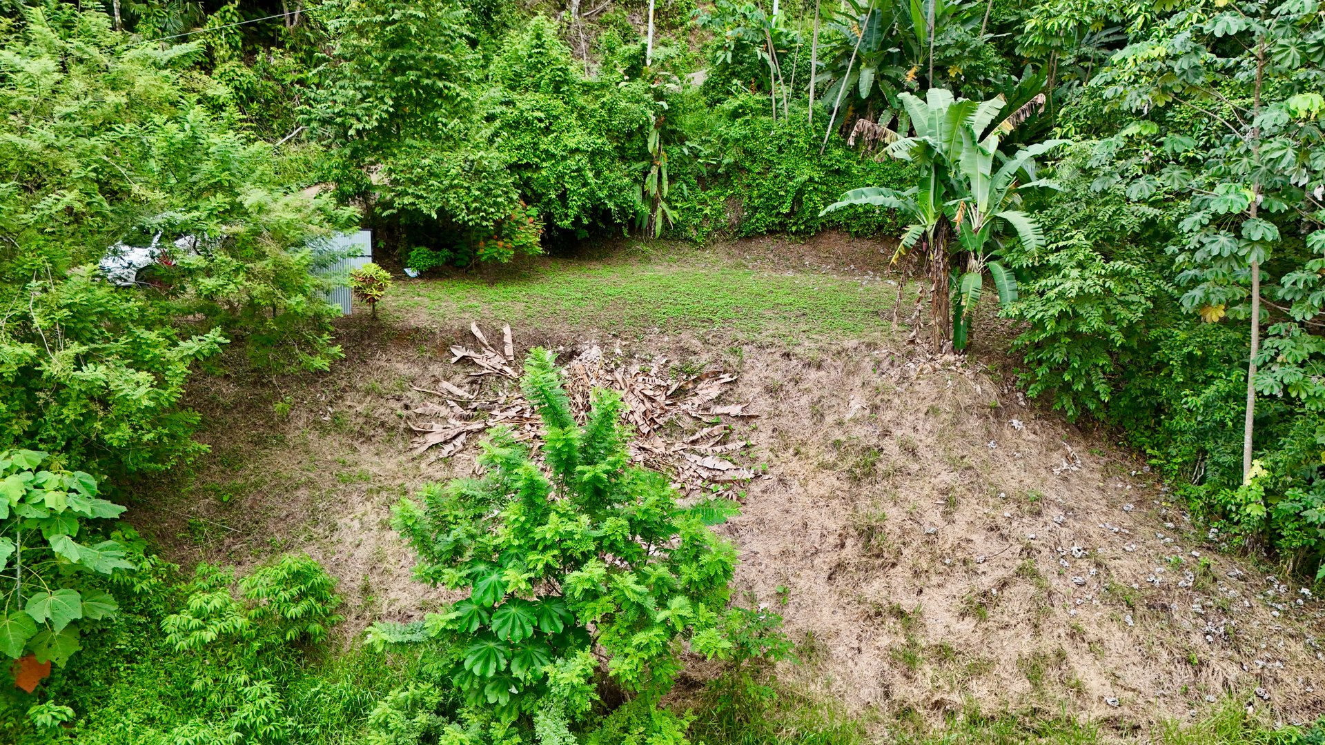 Tres Ríos Jungle Sanctuary | Ready-to-Build Lot Surrounded by Nature