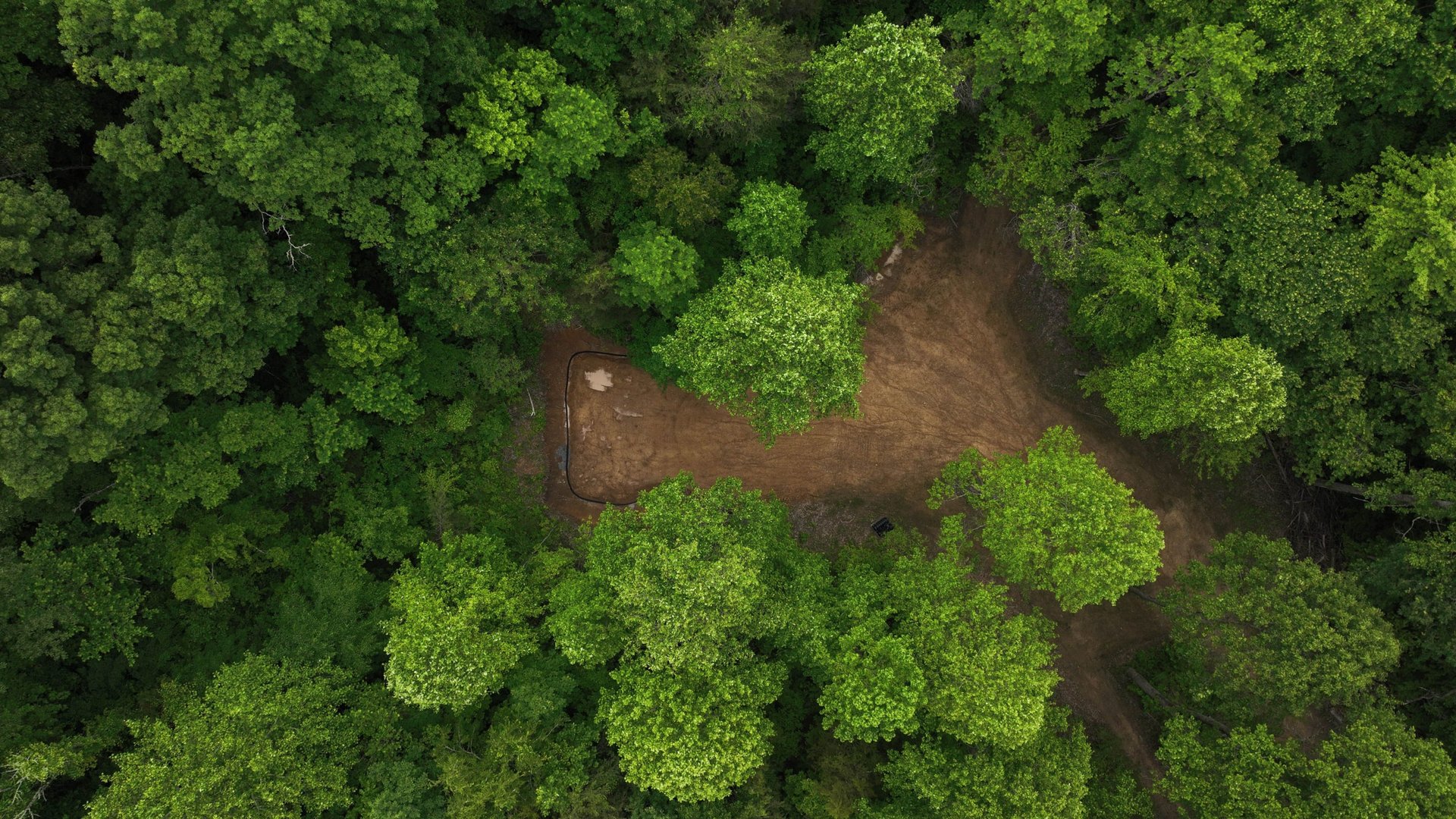 363 Lane Hollow Road