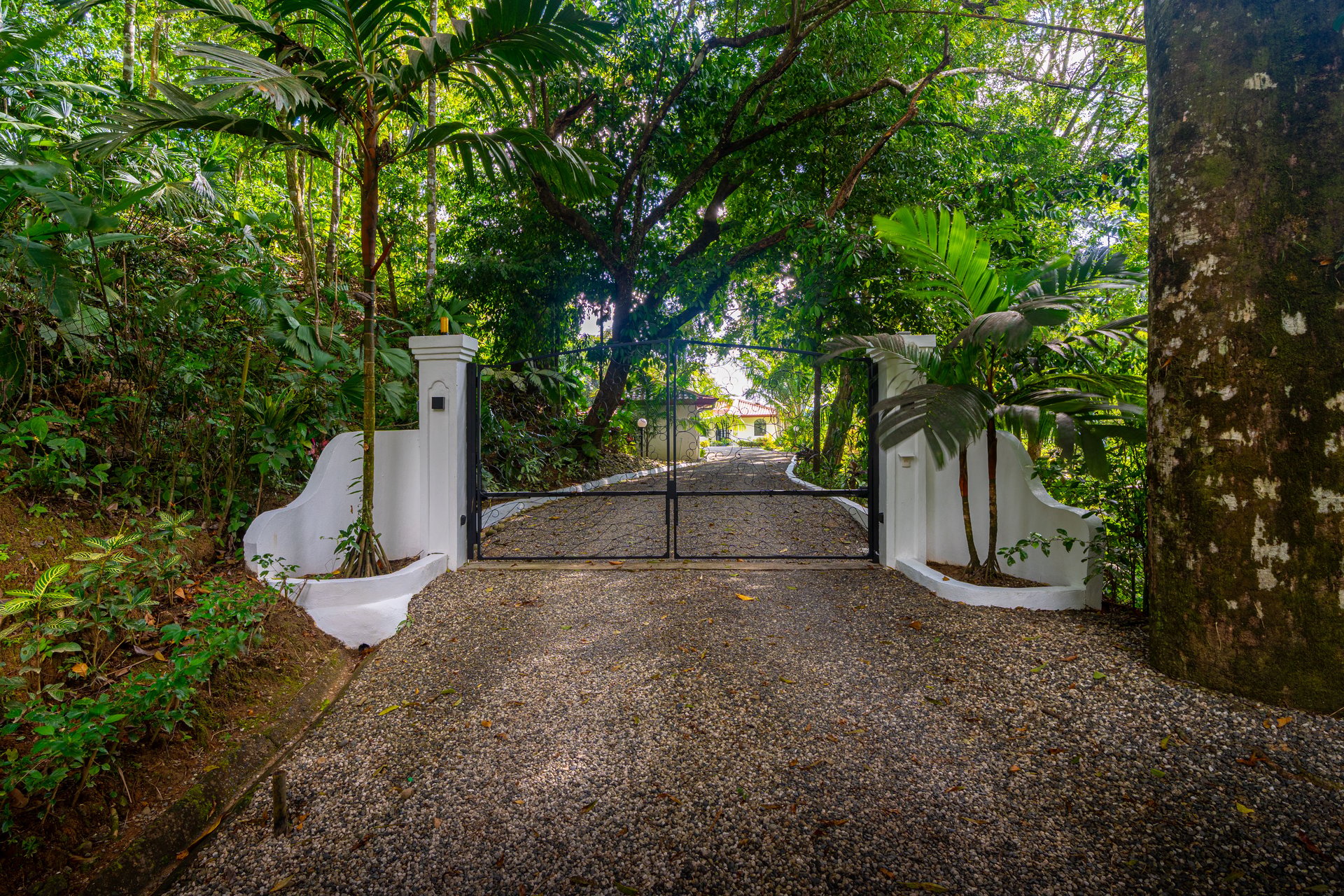  Villa Allamanda, Privacy Galore, Ocean, Jungle and Mountain Views