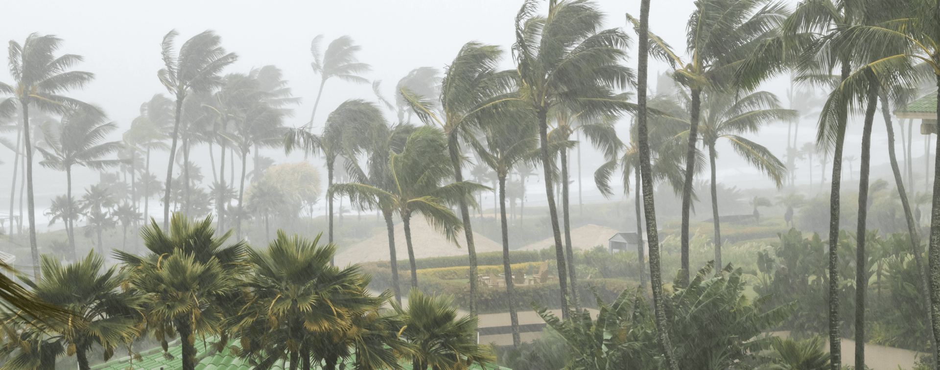 How Do Climate Risks Affect Your Next Home?