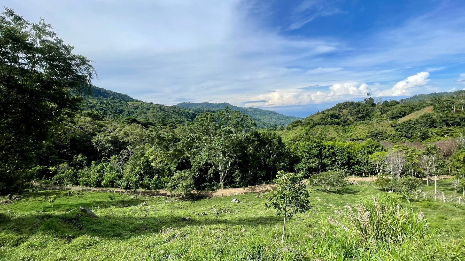 FIRE SALE!! Ocean View Farm in San Luis de Morete, Over 23 Acres