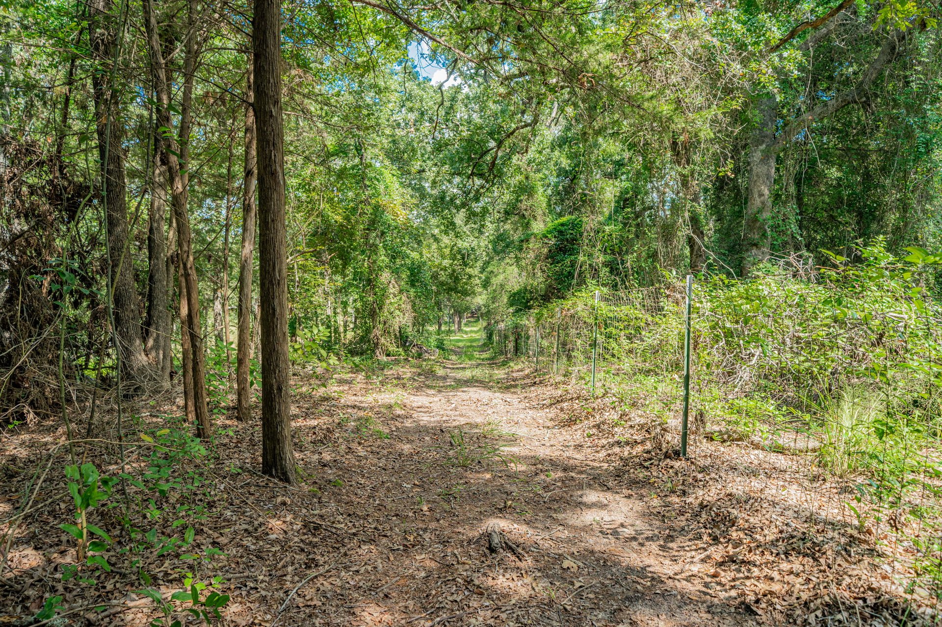 A Ben Wheeler Country Home & Land Dream!