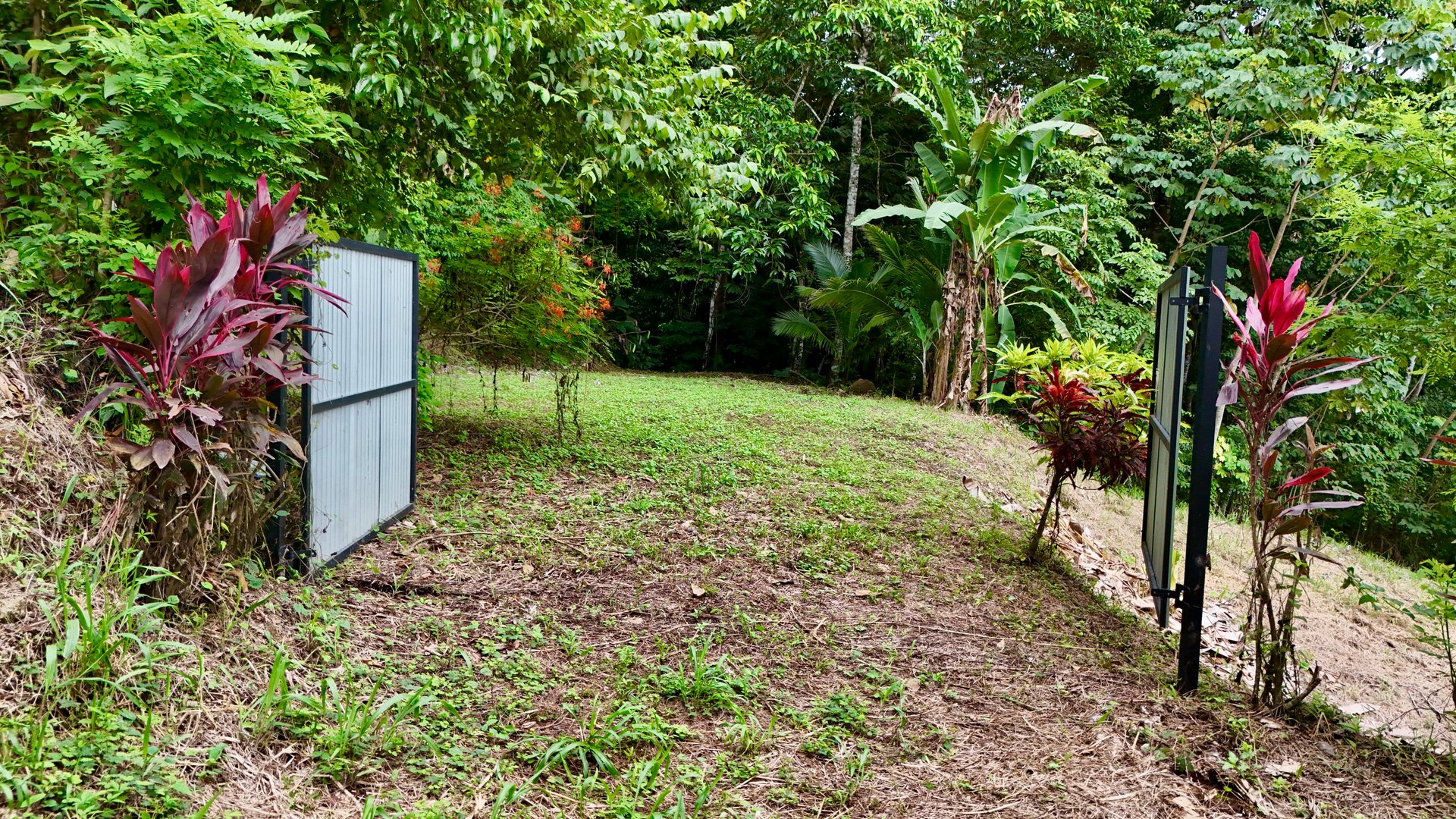 Tres Ríos Jungle Sanctuary | Ready-to-Build Lot Surrounded by Nature