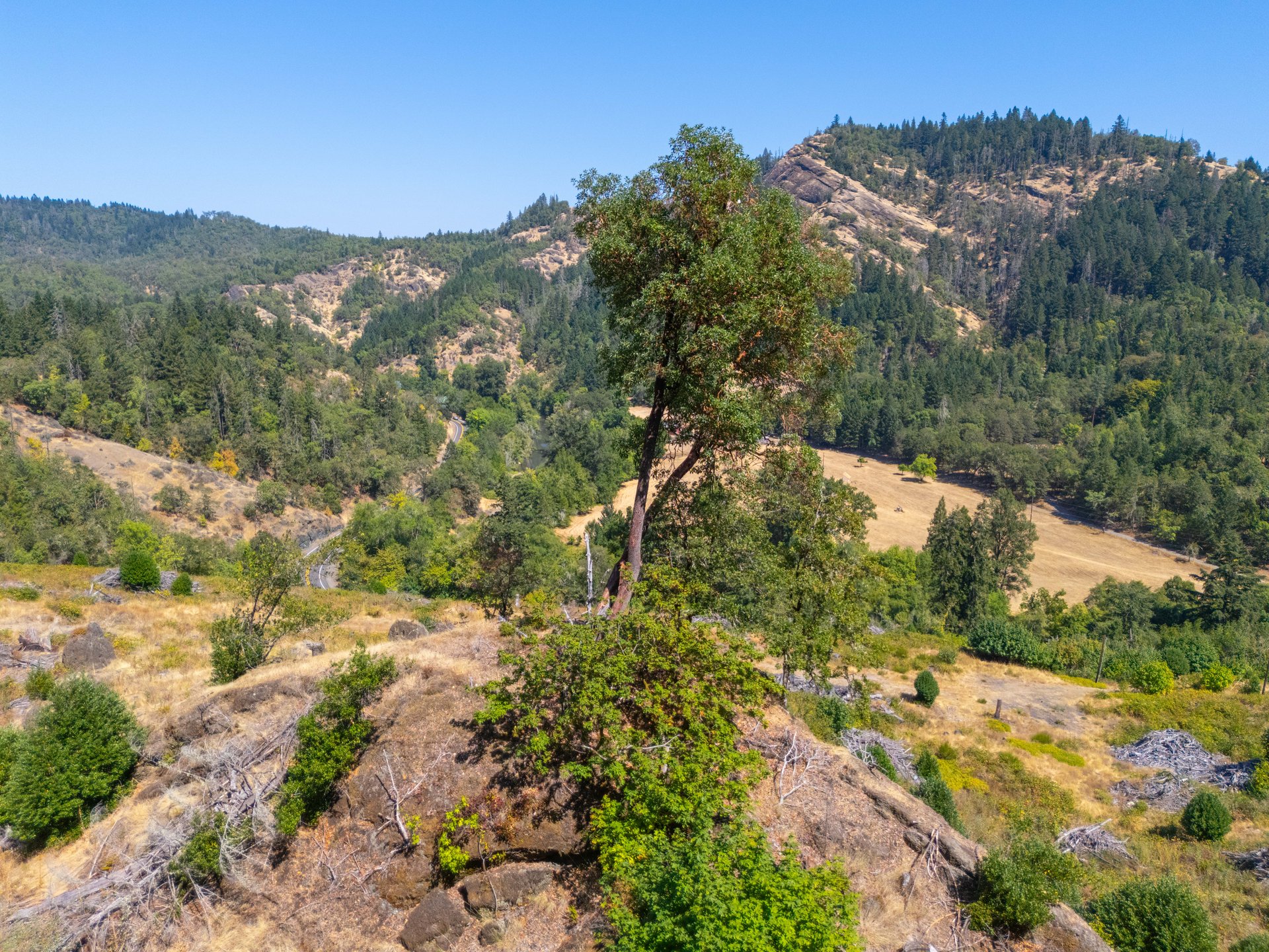 STRICKLAND CANYON HOMESITE