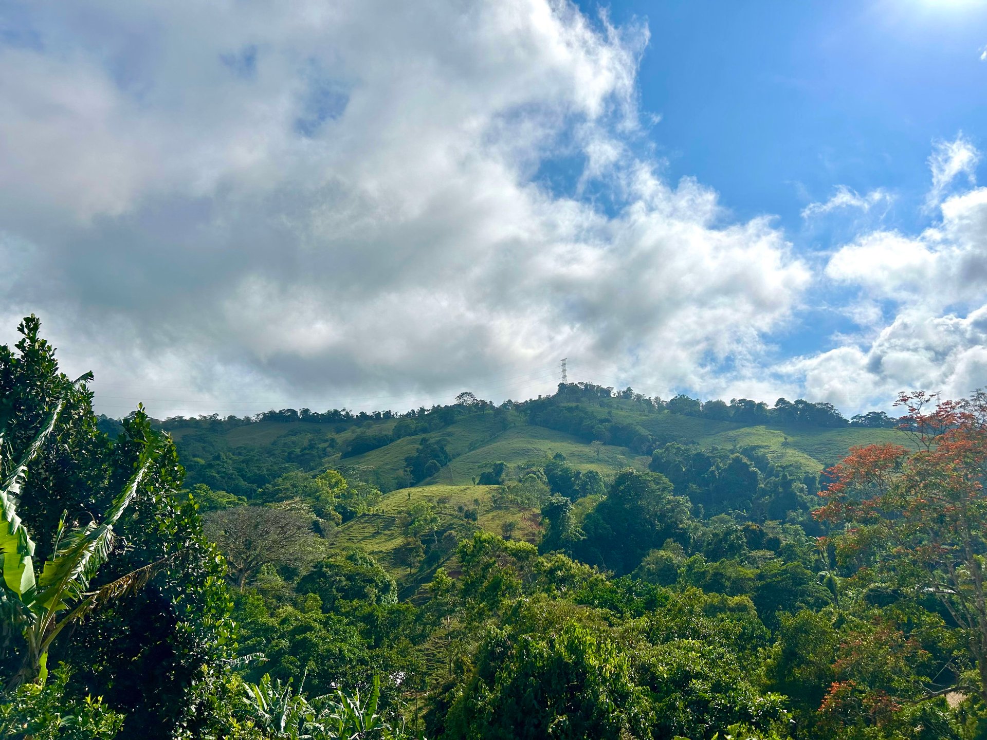 Over 2.5 Acres in Ceibo, Planted with Coffee and Fruits