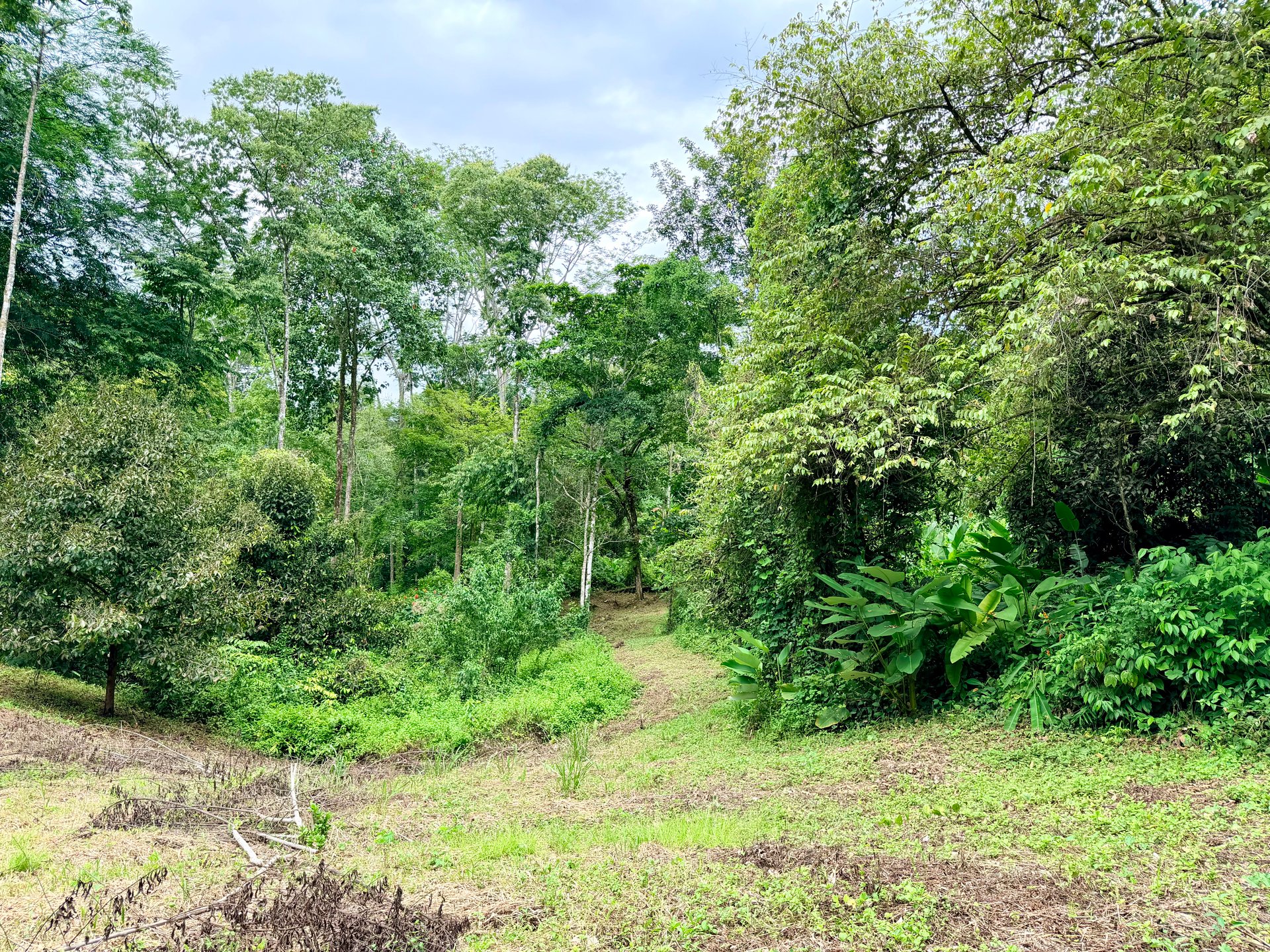 La Unión Road Development – Buildable Lots with River Access in Uvita
