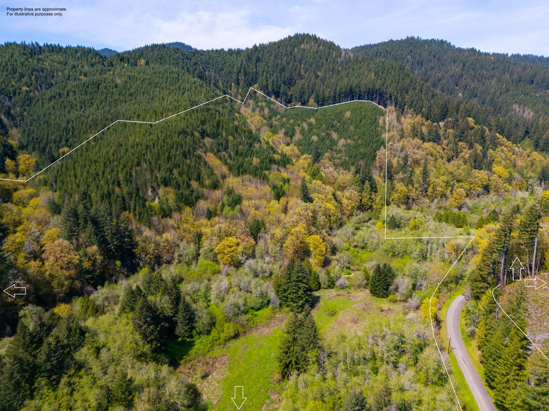 Nelson Mountain Meadows