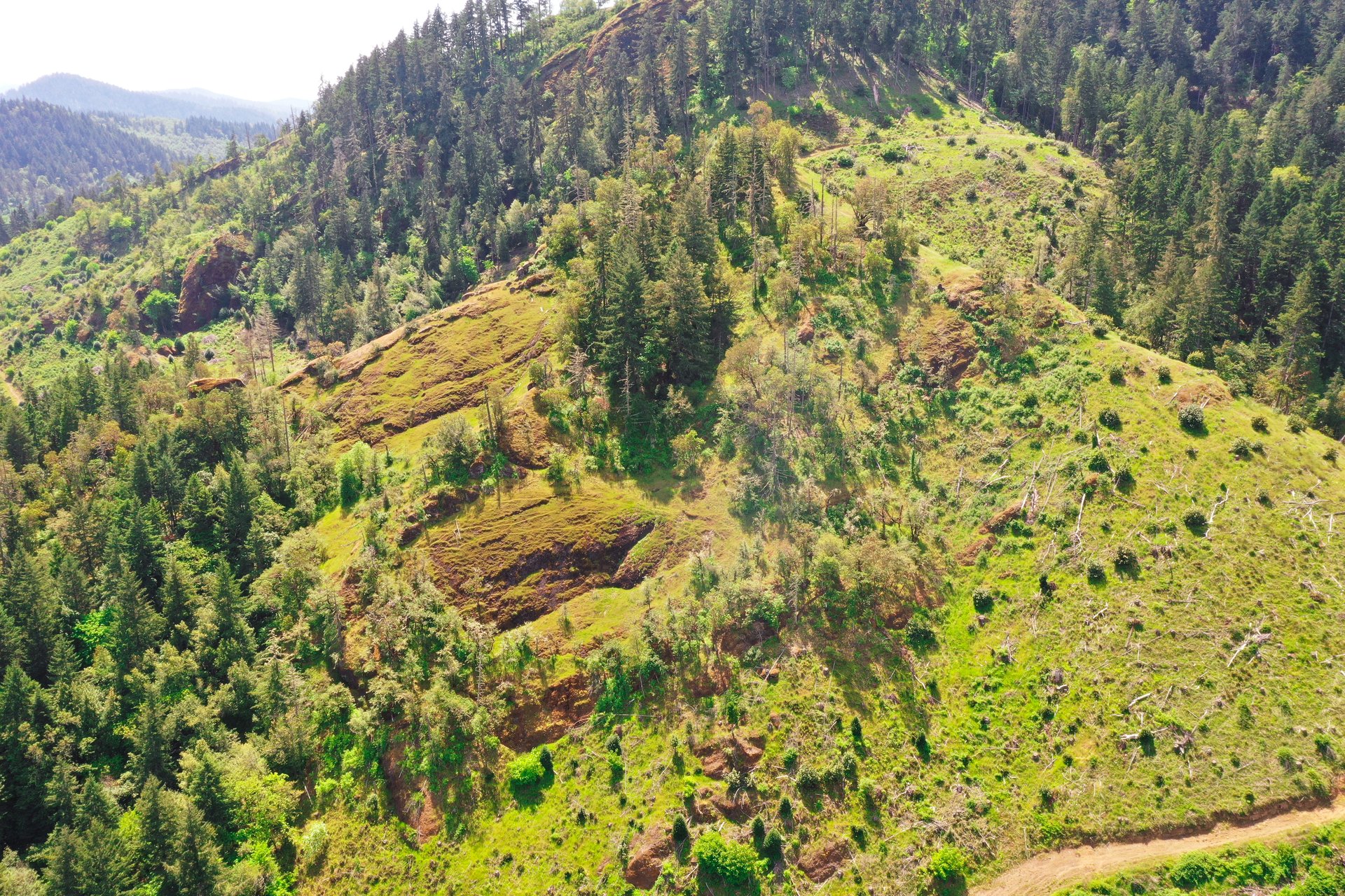 STRICKLAND BOULDER FOREST