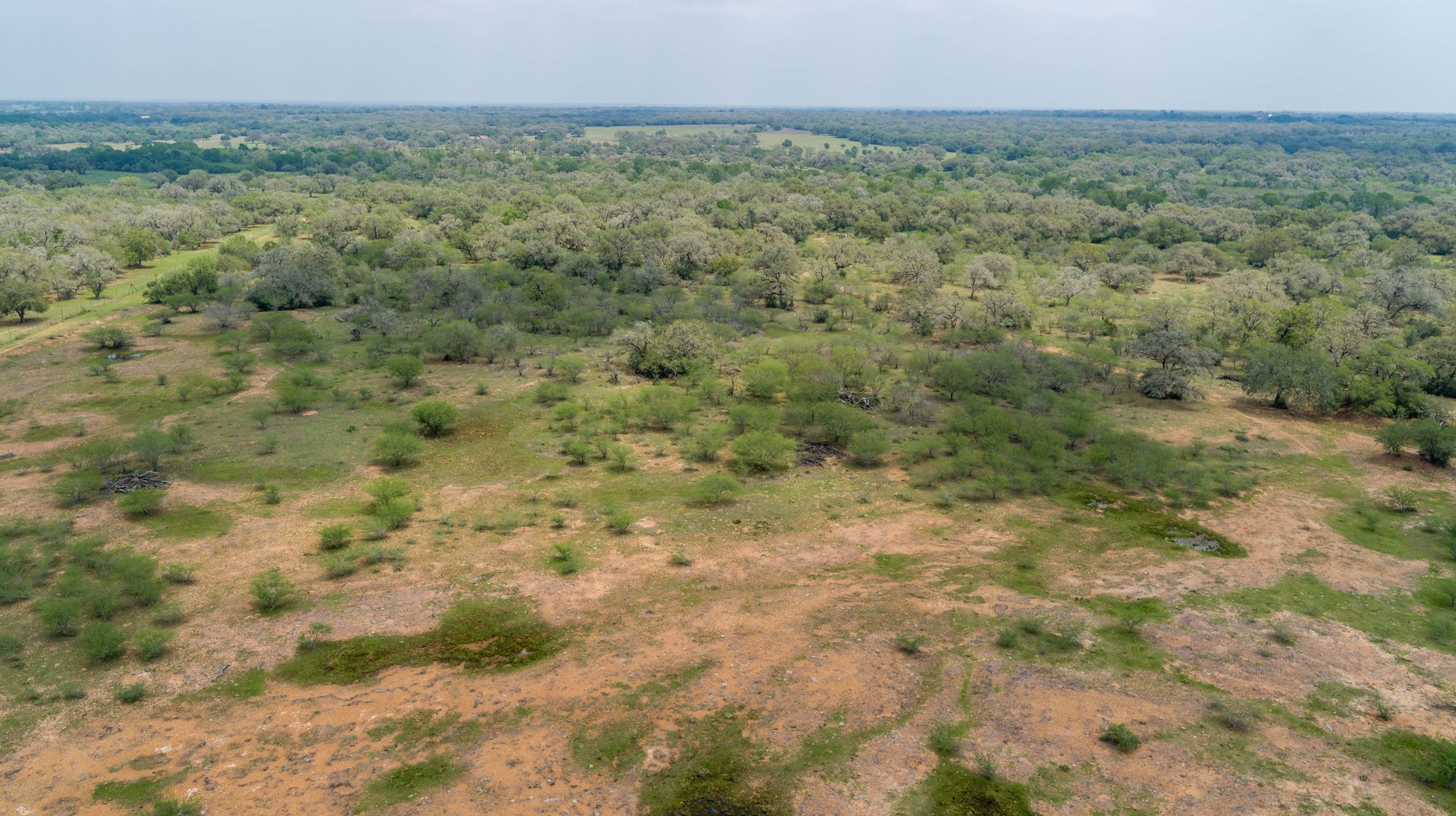 Five Mile Creek Reserve | 252.73± Acres-High Fence | DeWitt County, TX